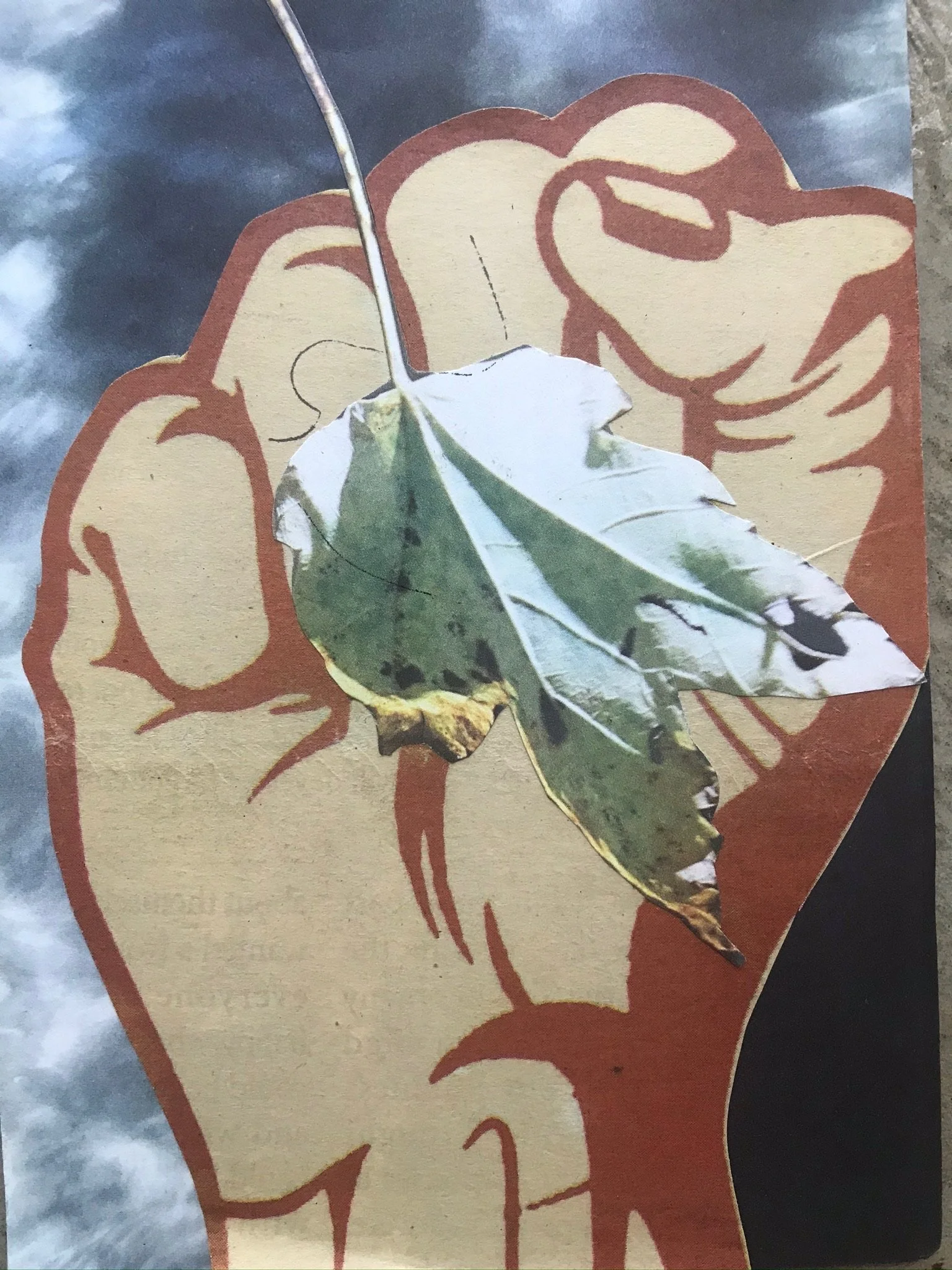 Beloved White Kin, Now is The Time