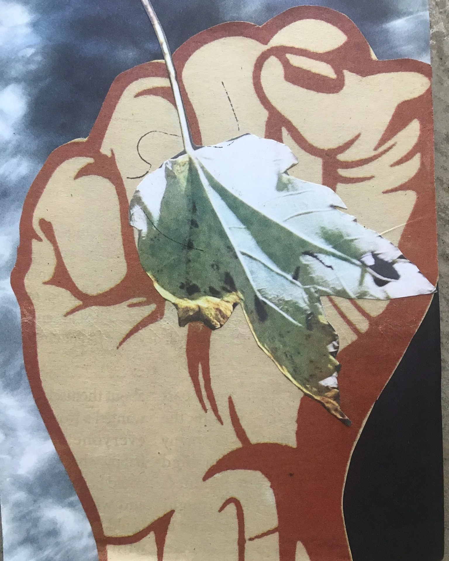 Beloved White Kin, Now is The Time