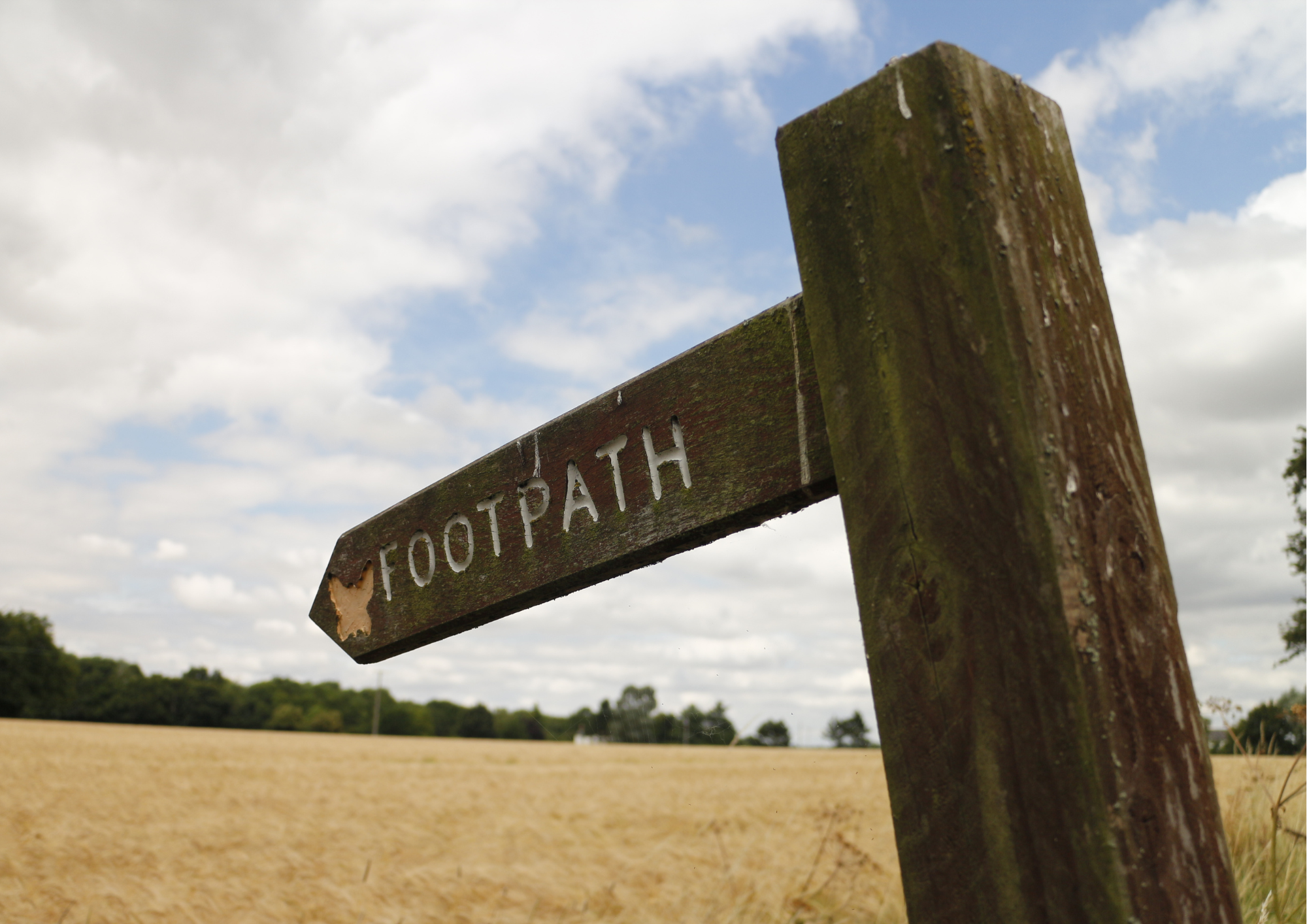 Close-up of a weathered wooden footpath sign with moss, pointing towards a field with trees in the distance under a cloudy sky.