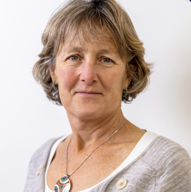 A middle-aged woman with short, lightly wavy light brown hair, wearing a gray top with a white undershirt, small earrings, and a colorful pendant necklace, smiling softly against a plain white background.
