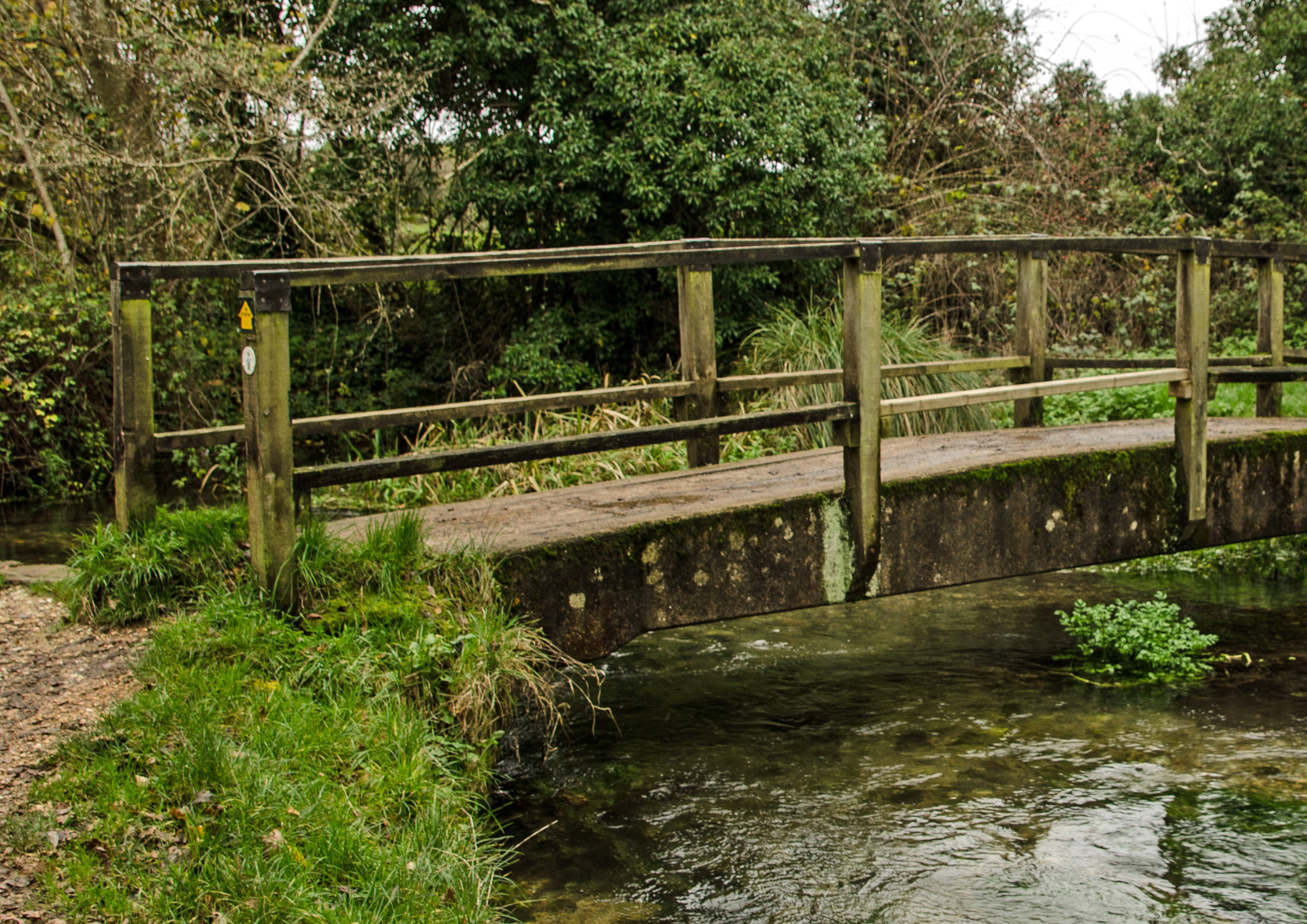 A small wooden bridge over a creek surrounded by green foliage and trees.