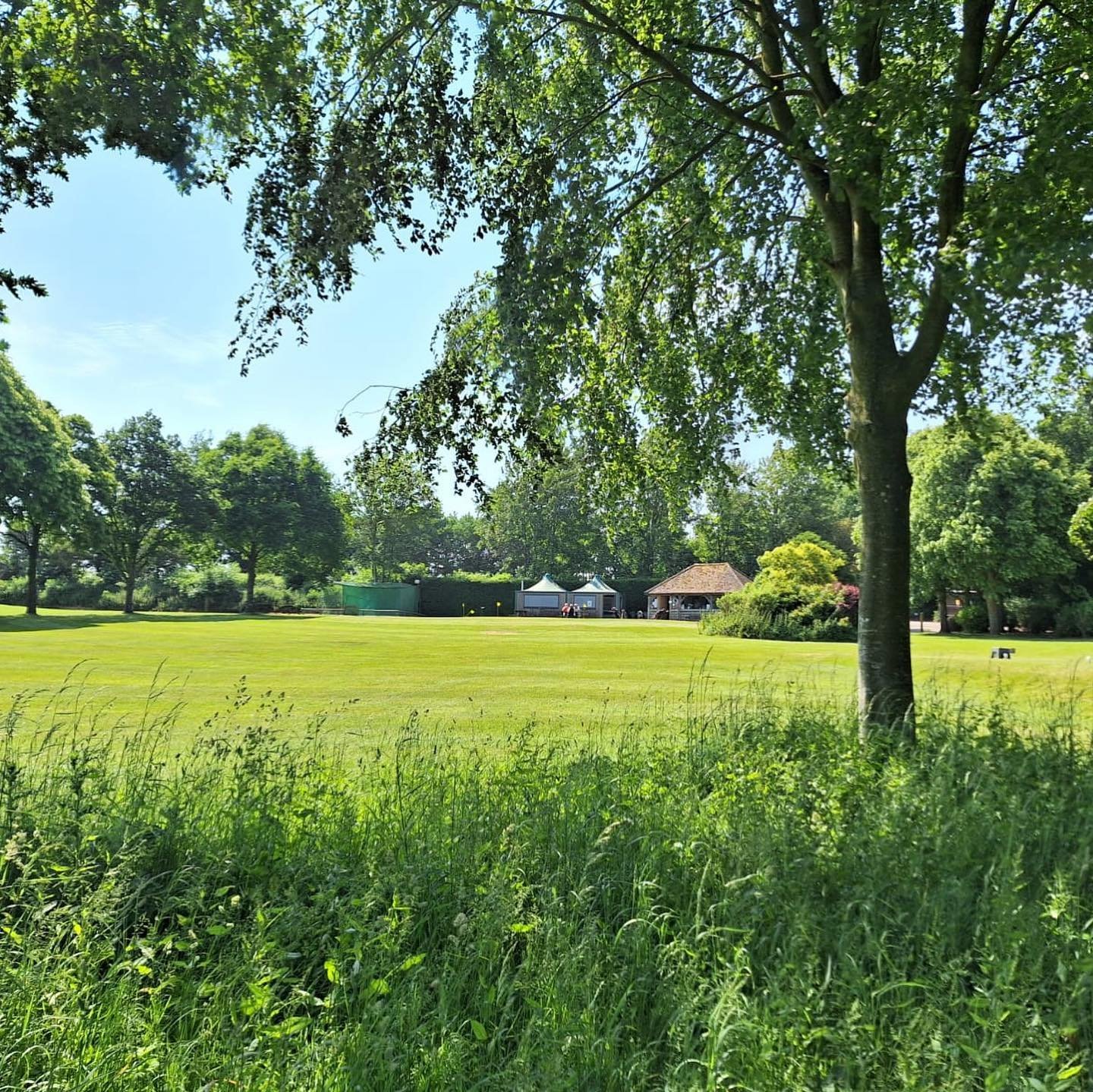 Green park with trees, grass, and a picnic pavilion in the background under a blue sky.