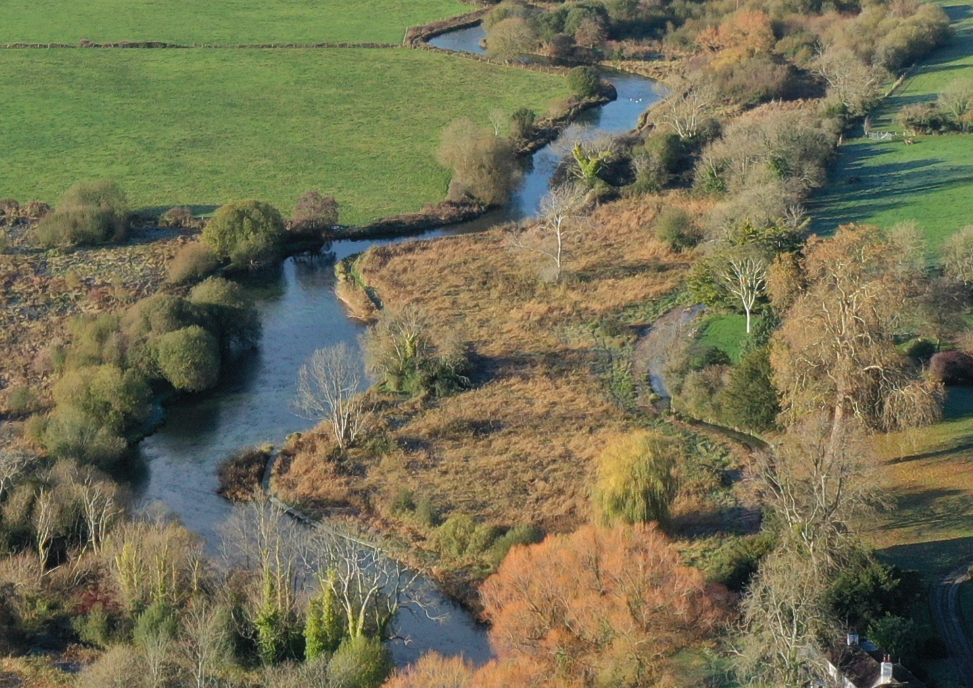 Aerial view of a winding river flowing through a lush green landscape with trees, grassy fields, and some brown and orange foliage.