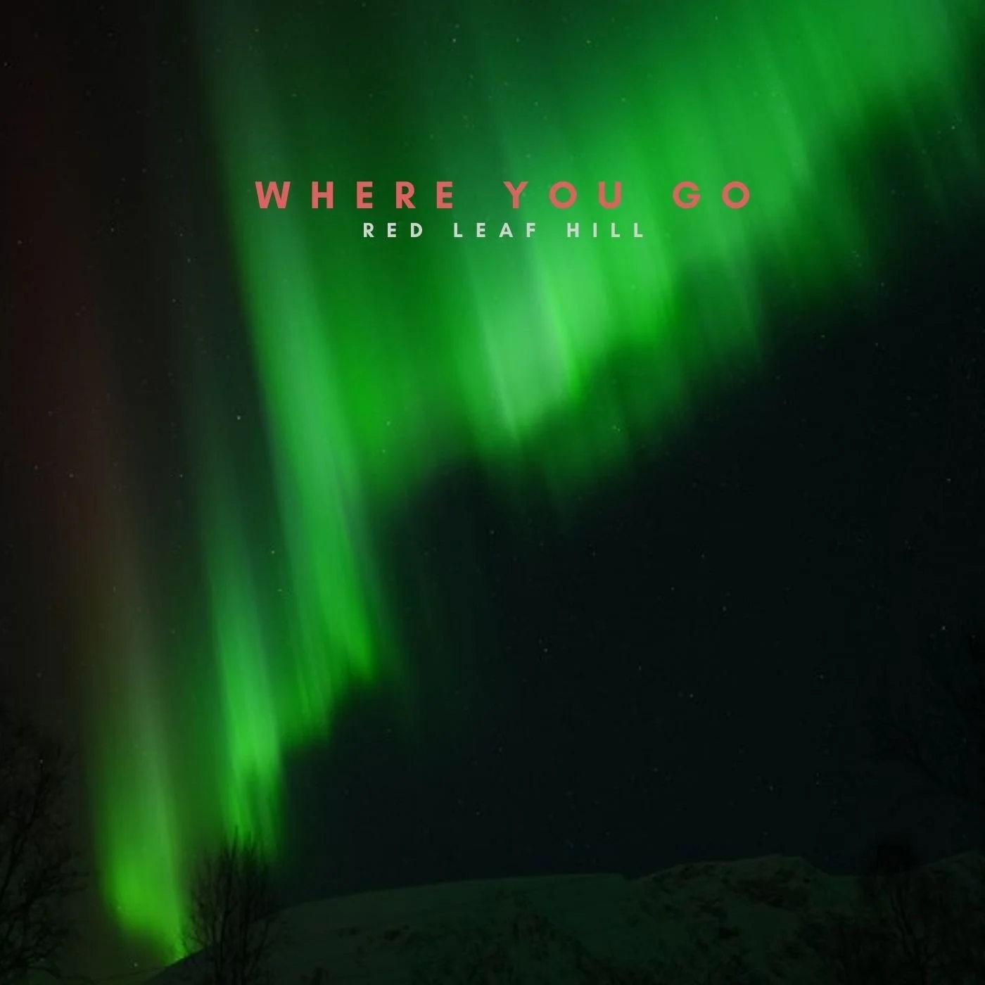 artwork where you go 2.jpeg