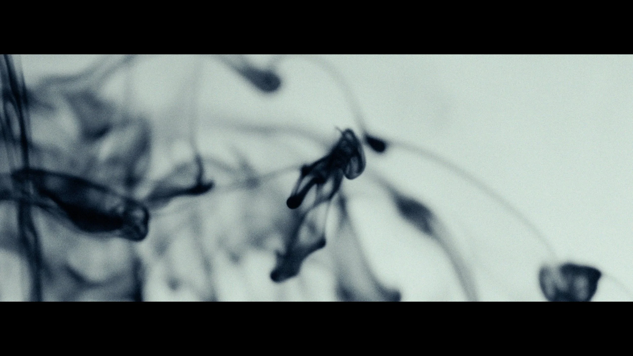 Still 2025-11-11 150538_1.1.3.jpg