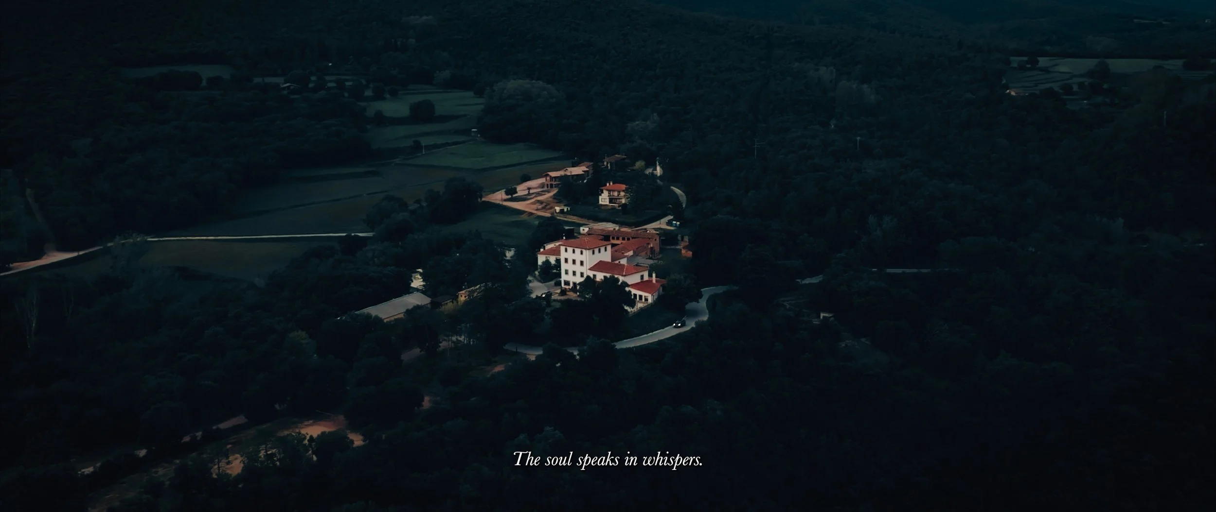 Still 2026-01-23 133625_1.11.1.jpg