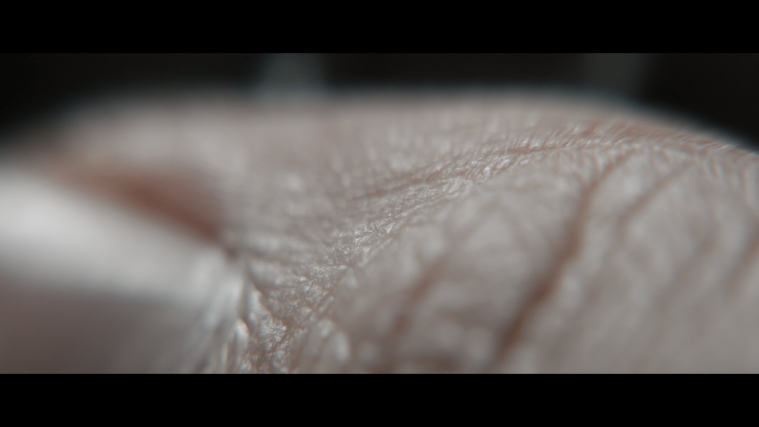 Still 2026-01-23 133936_3.1.4.jpg