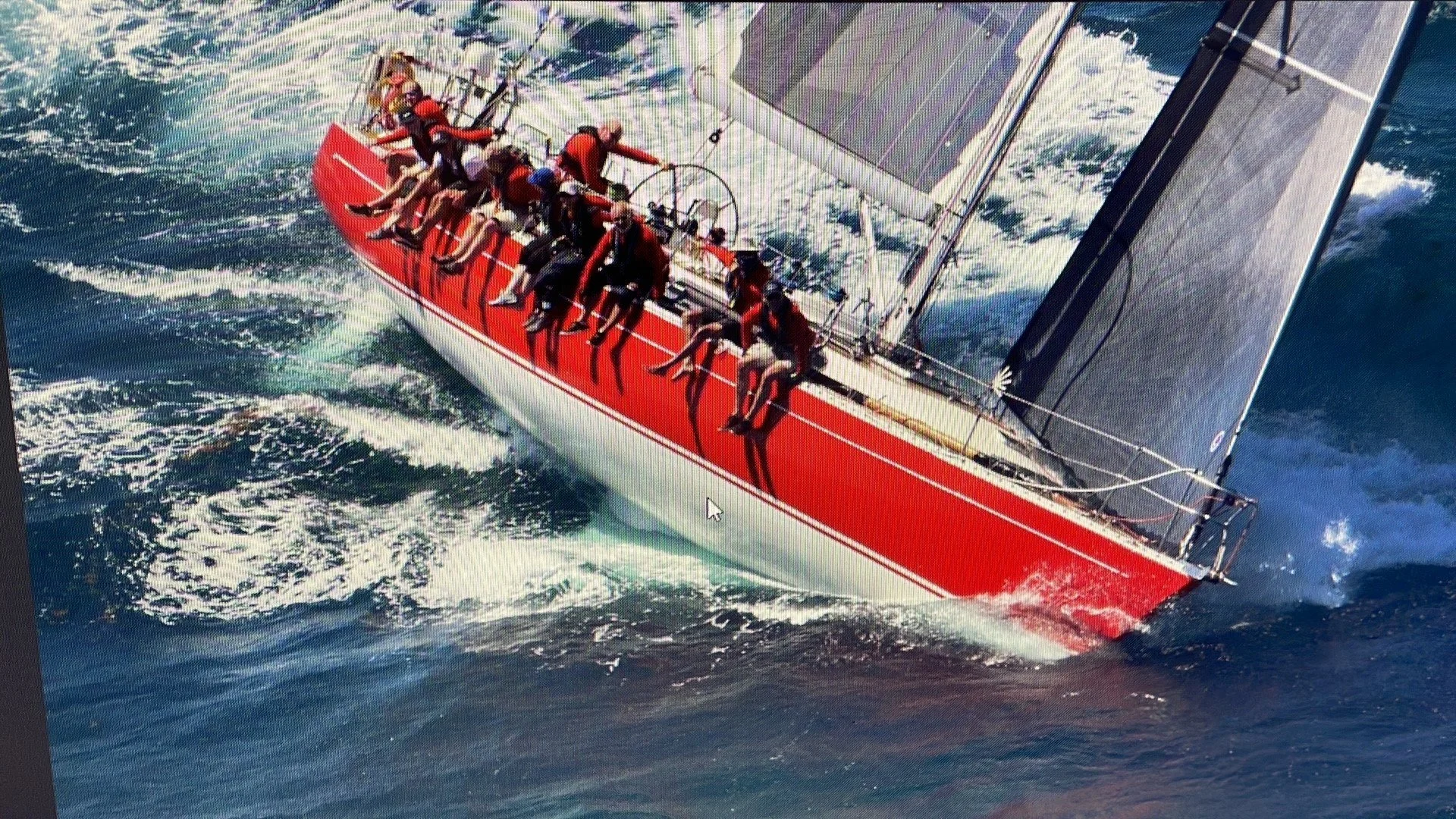 Scarlet Oyster 1.jpg