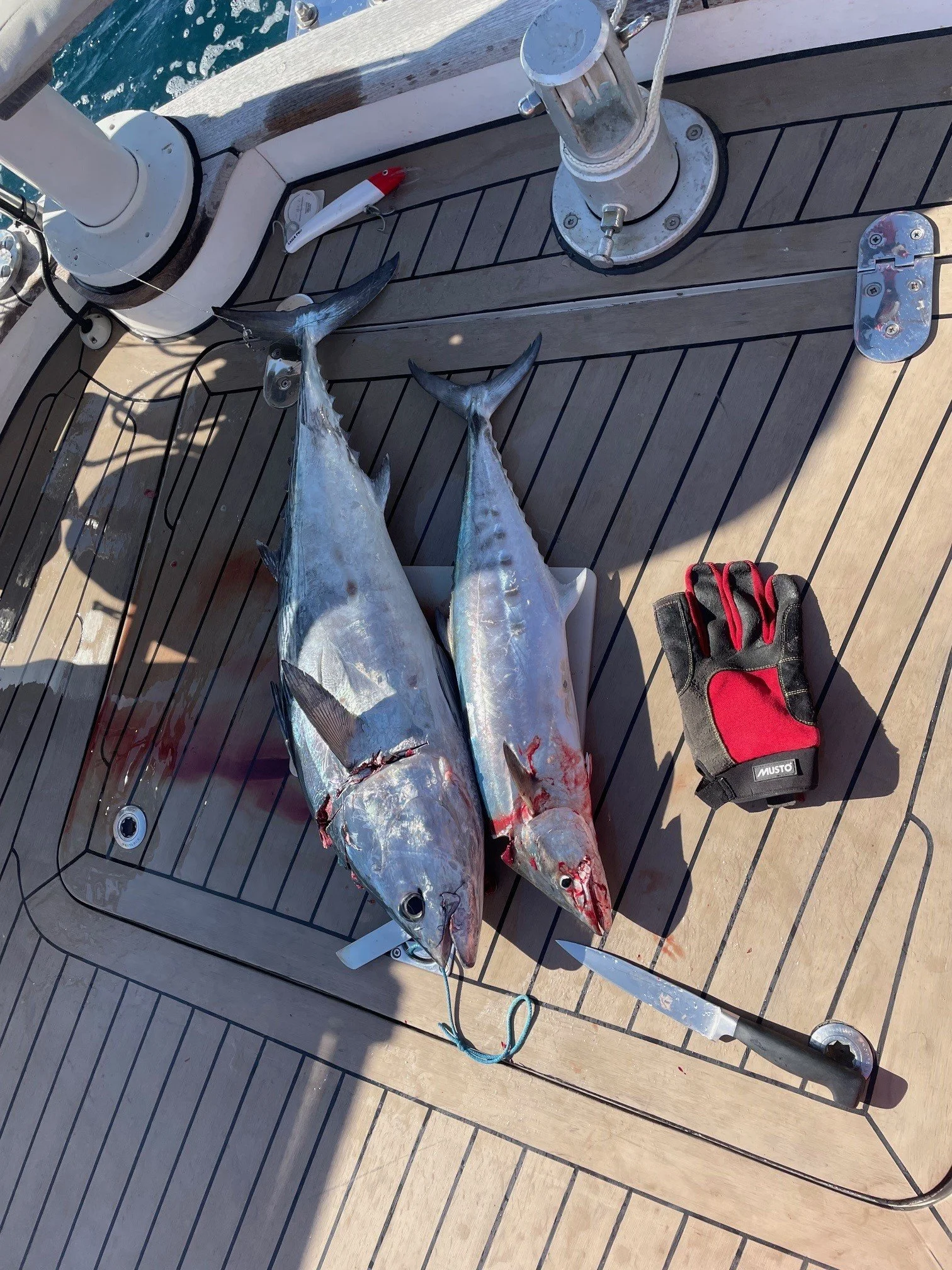 Tuan and a Spanish Mackral.jpg