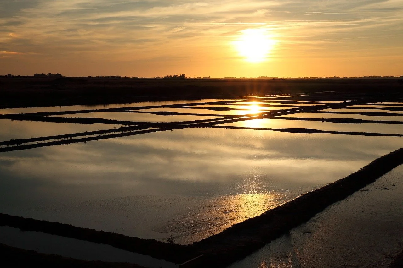 Marais salants de Guérande au coucher du soleil, lumière dorée et reflets paisibles sur la Côte d’Amour.