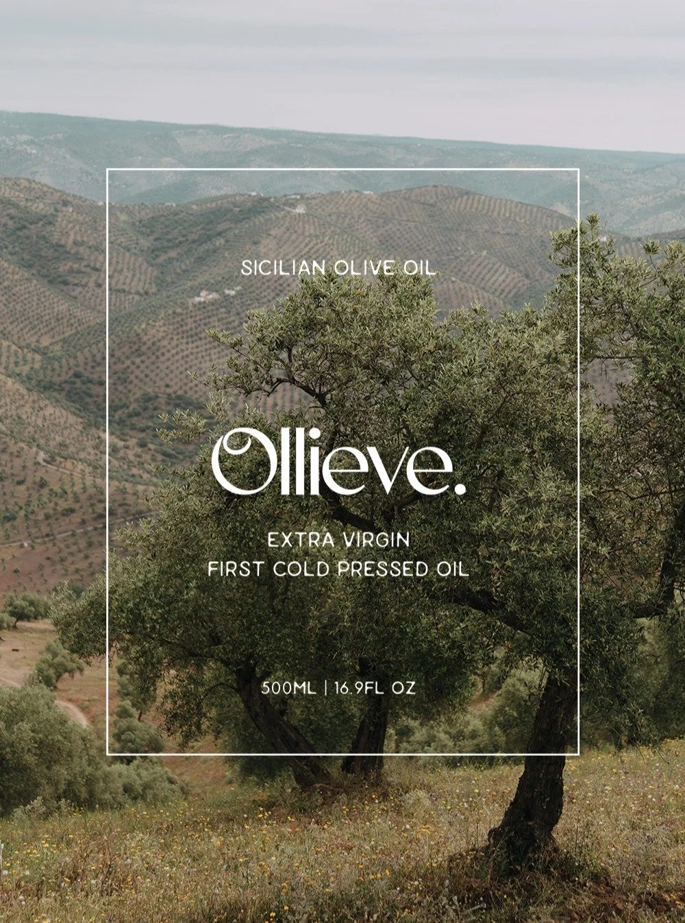 Ollieve is a Sicilian extra virgin olive oil created to blend tradition and sophistication through a modern lens.
More than a product, it&rsquo;s the strength of the earth, the warmth of the sun, and the richness of Mediterranean culture translated i