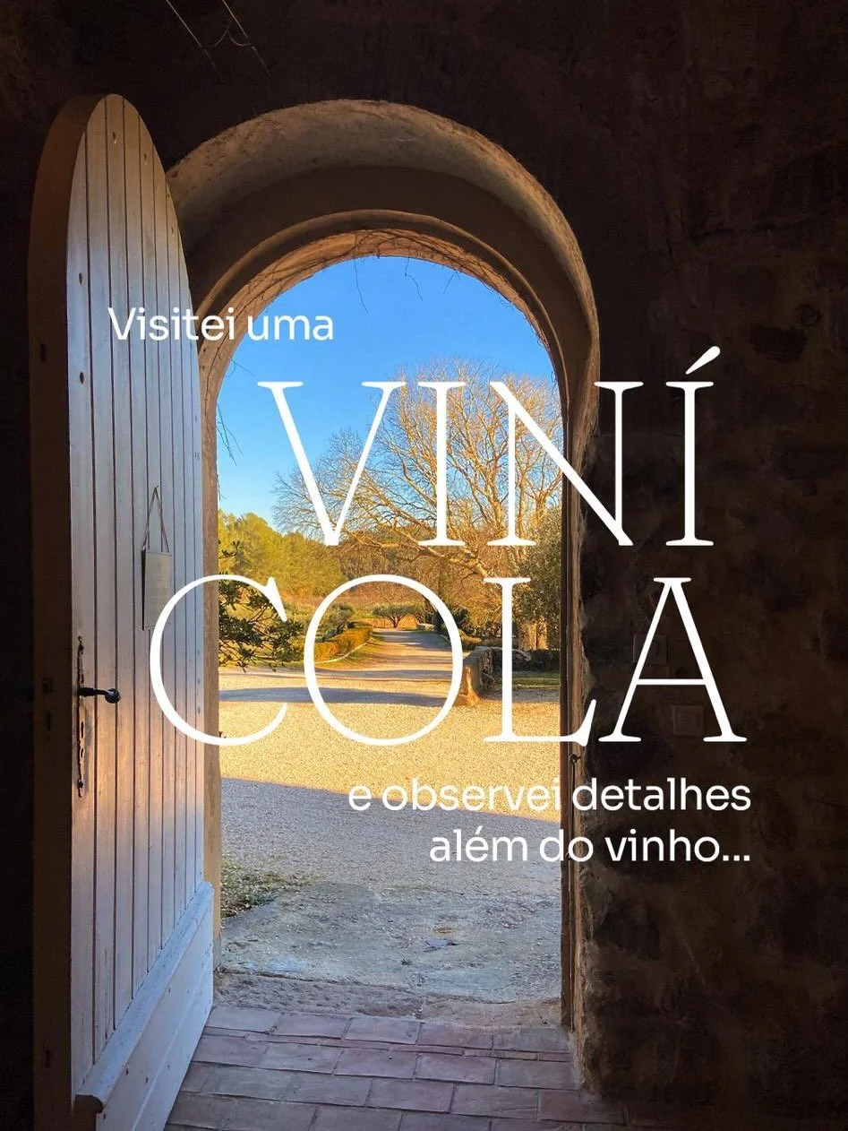 Meus olhos s&oacute; conseguem perceber tudo isso porque aprendi a observar, comparar e valorizar cada processo da arte e do design.

Quando visitei essa vin&iacute;cola eu prestei aten&ccedil;&atilde;o nos detalhes, vi a heran&ccedil;a, o contato co