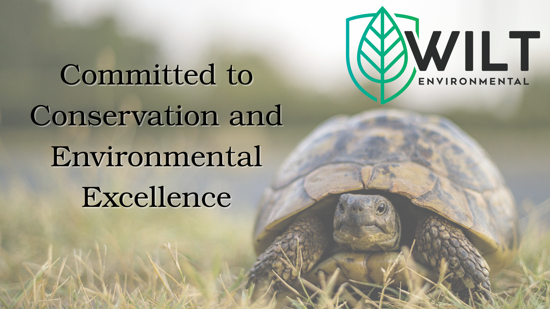 A turtle walking on grass with a blurred background and a logo of a leaf with a shield shape, along with text that says, "Committed to Conservation and Environmental Excellence."