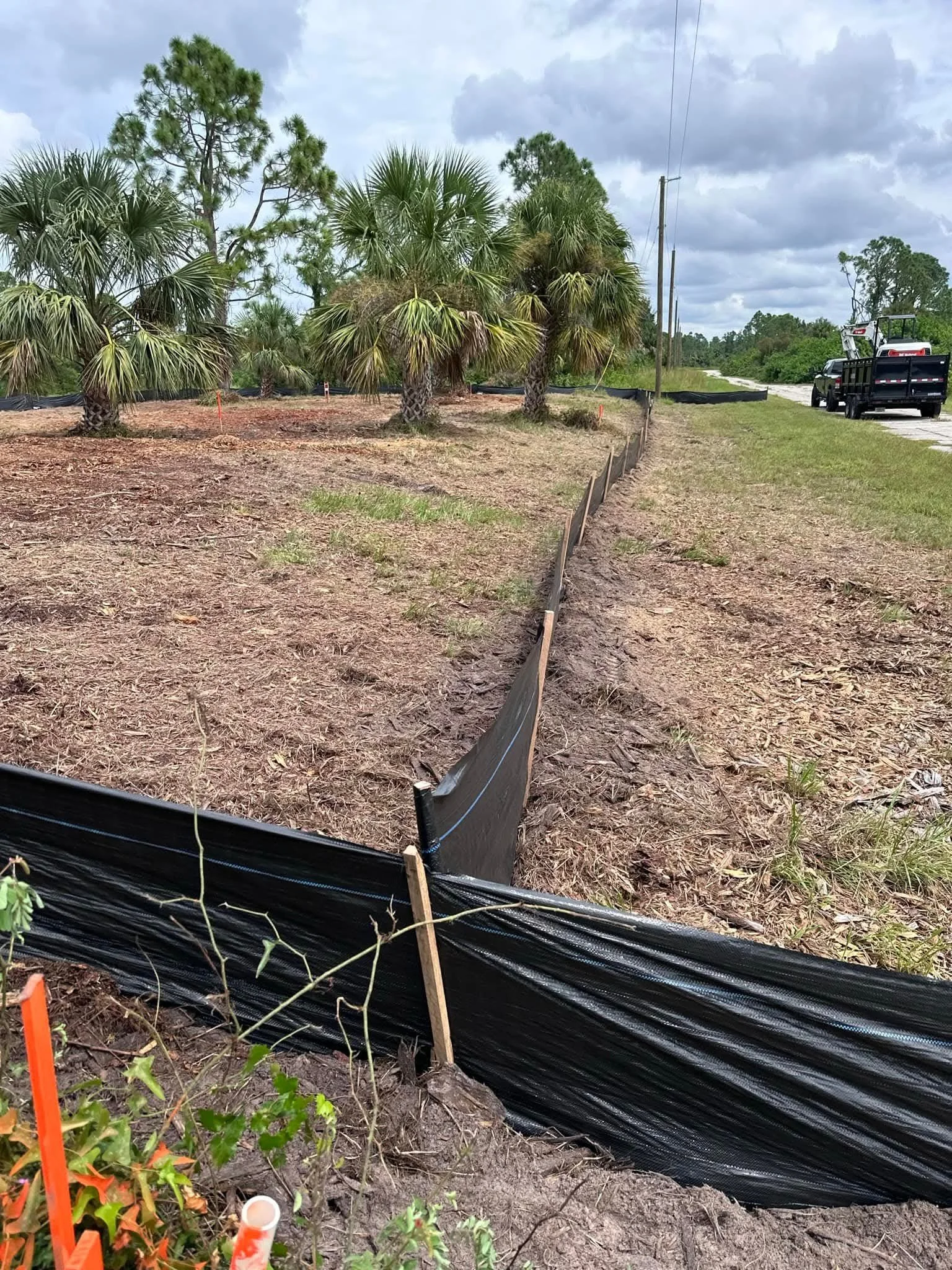 A row of small palm trees on a dirt lot with black plastic fencing along the edge, and a pickup truck with equipment parked on a nearby road under a cloudy sky.