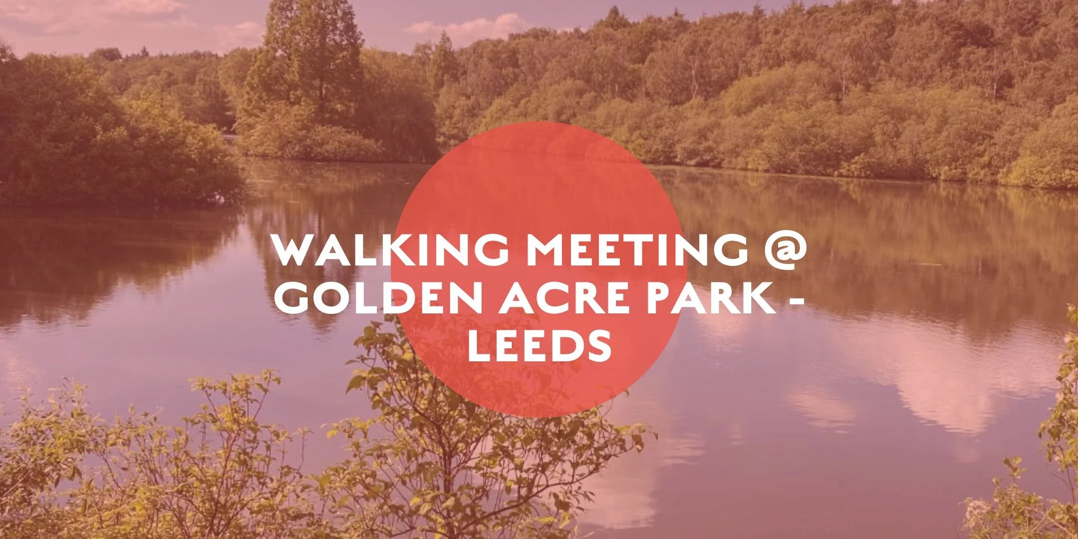 Walking Networking Meeting - Northern Affinity and Mountain Boardroom