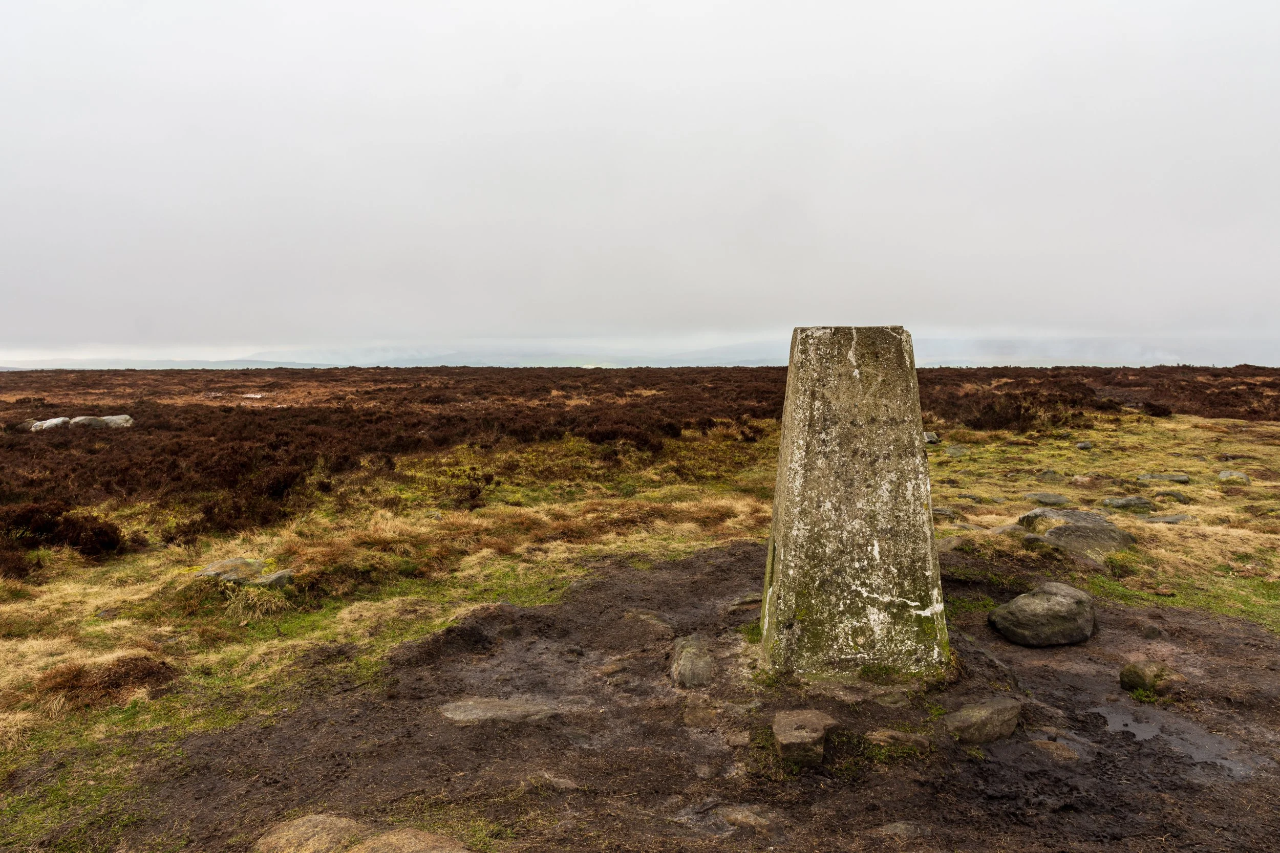 Wellness Walk - Ilkley Moor, followed by drinks in Ilkley