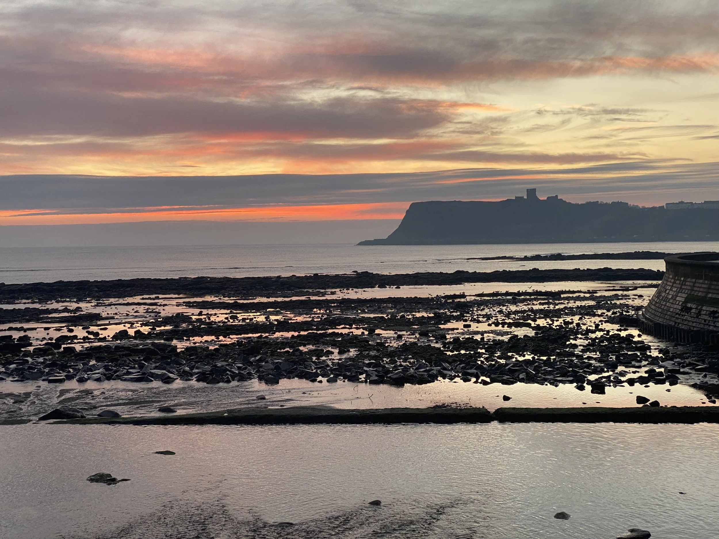 Wellness Walk - Scarborough - Reflections by the Sea