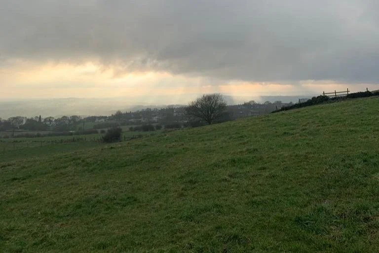 Wellness Walk - Rawdon Billing from Rodley, followed by drinks!