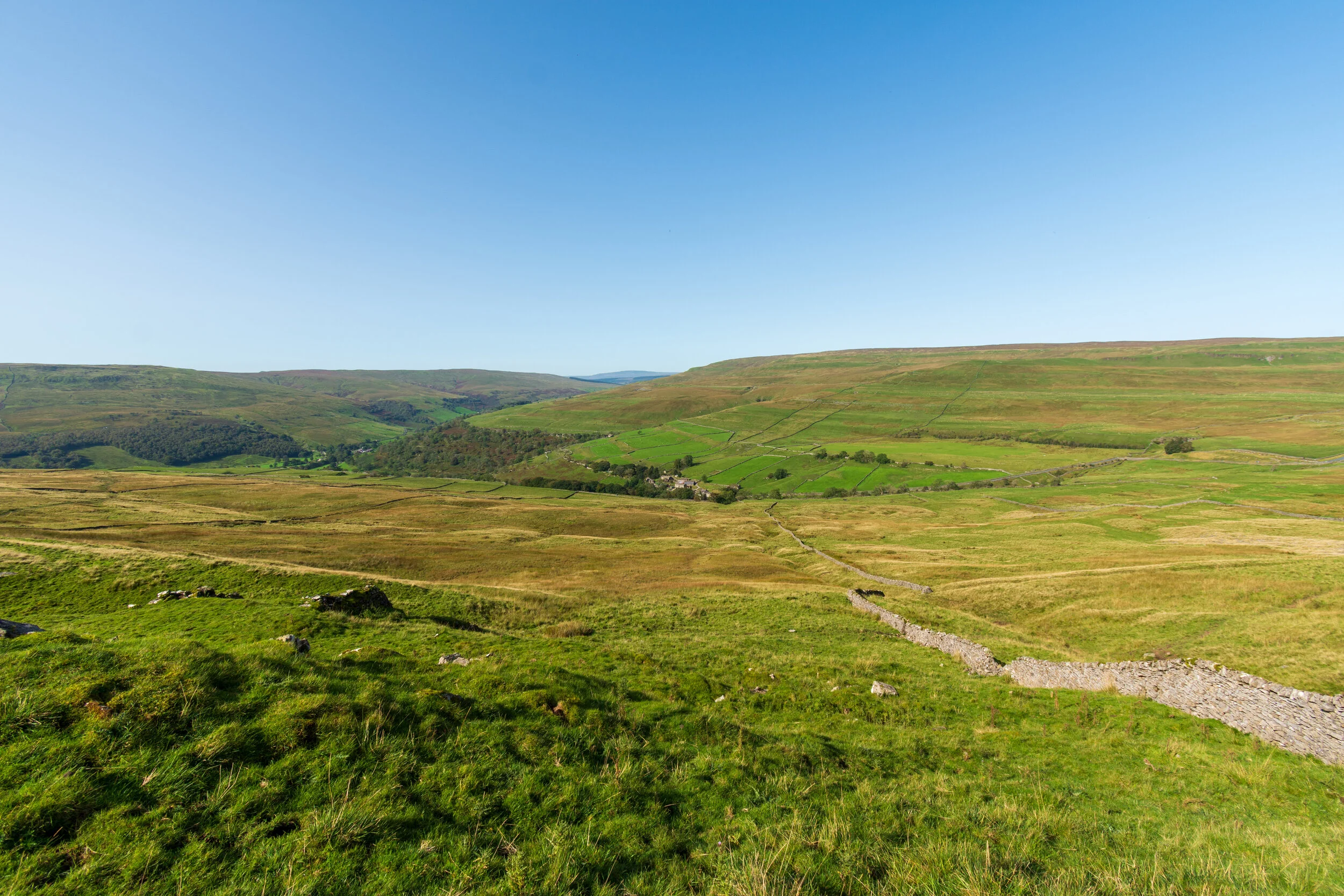 7 reasons why smart leaders need to get out into nature