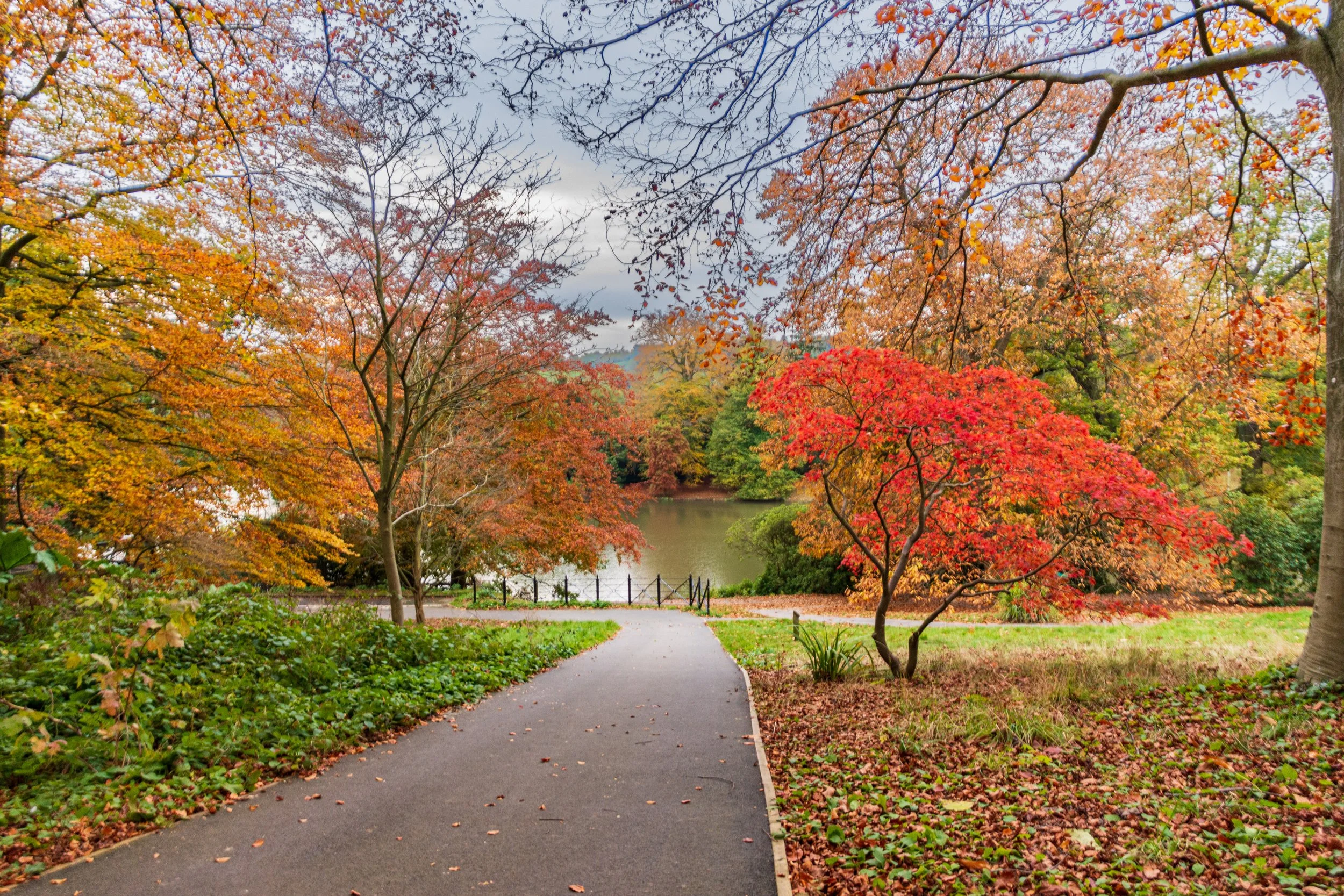 An autumnal scene at Harewood House, signifying change