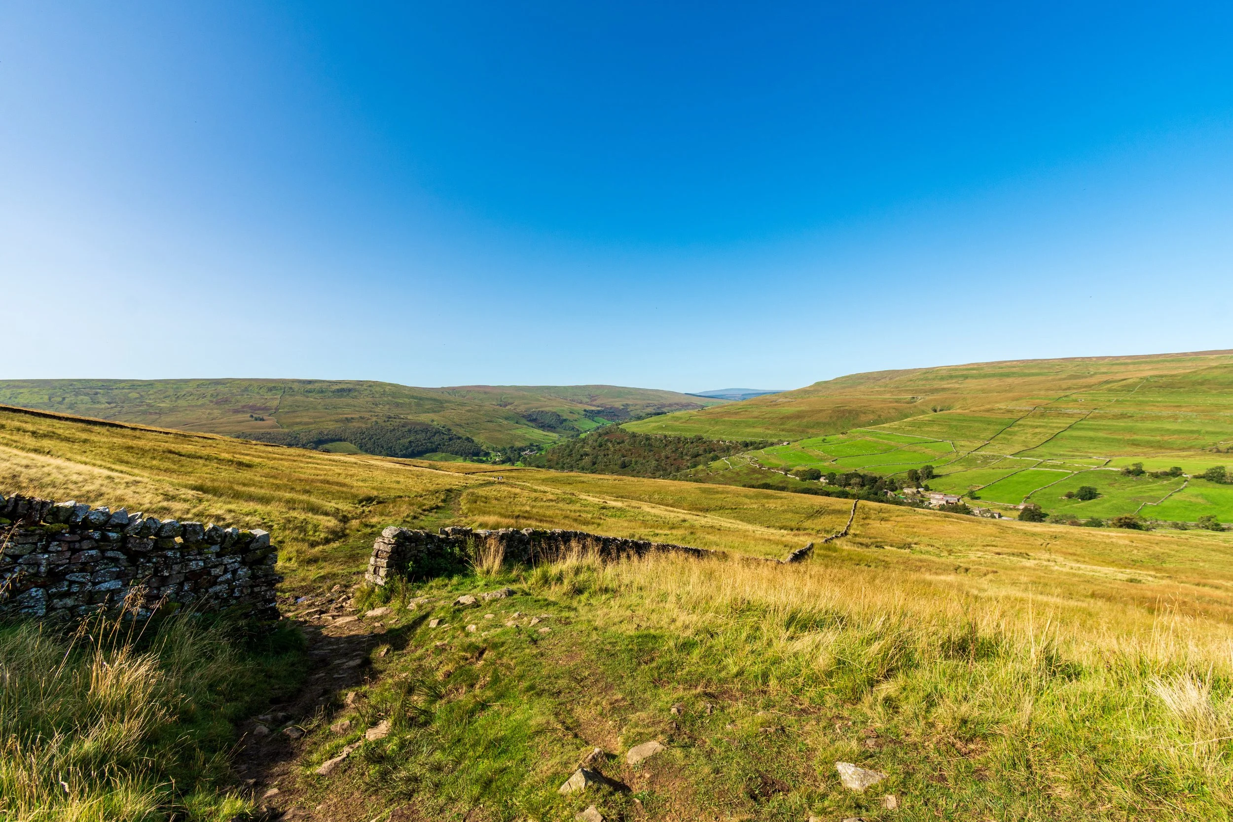 The verdant valley of Upper Wharfedale on a summer's day, from the slopes of Buckden Pike in the Yorkshire Dales, with a clear blue sky