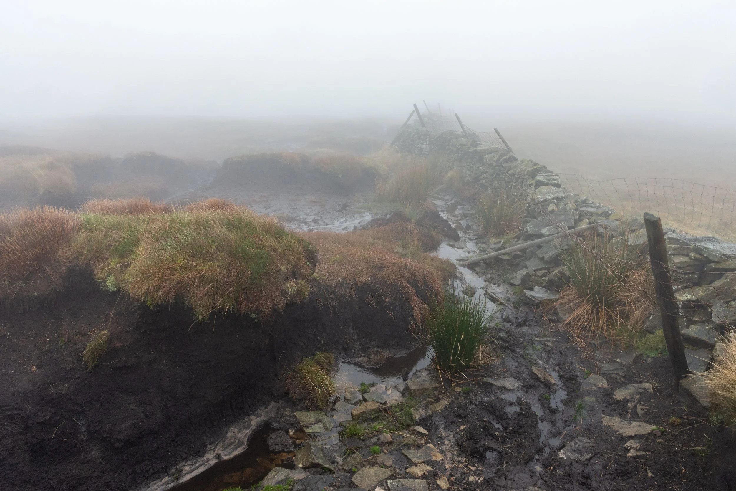 A very boggy peat hag on the summit of Buckden Pike in the Yorkshire Dales, on a very wet and misty day