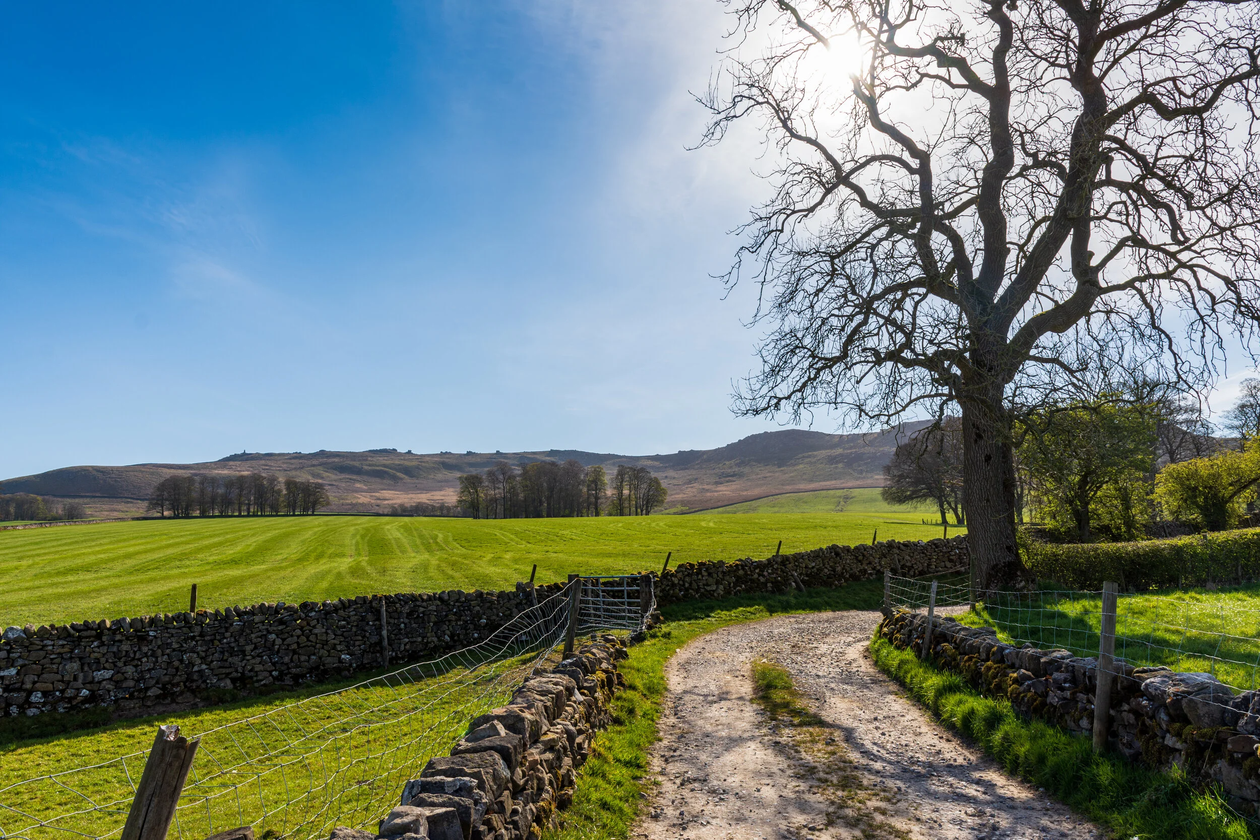 A view of Cracoe Fell and Embsay Moor in the Yorkshire Dales near Skipton, rising against a blue sky, taken on a track near Cracoe, winding through green fields