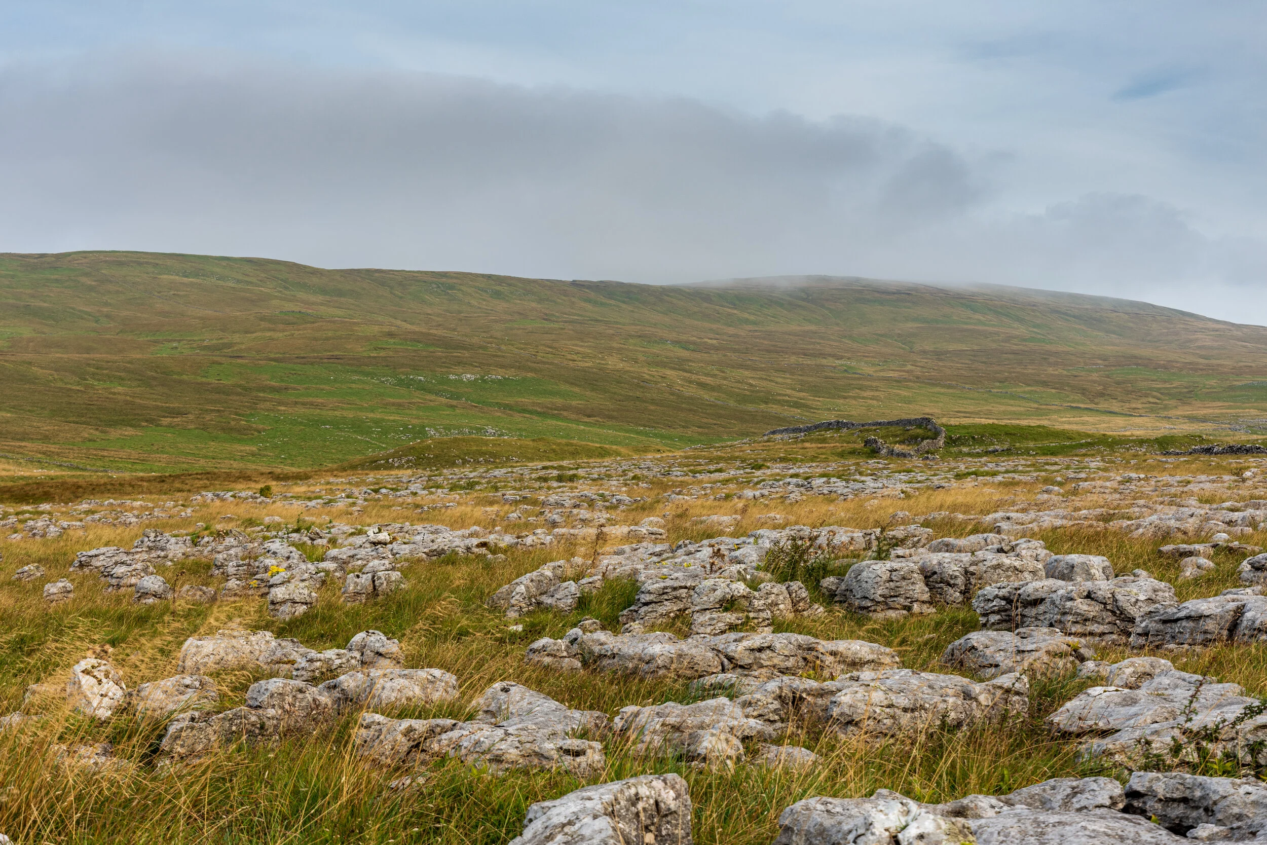 The limestone pavement on the lower slopes of Fountains Fell