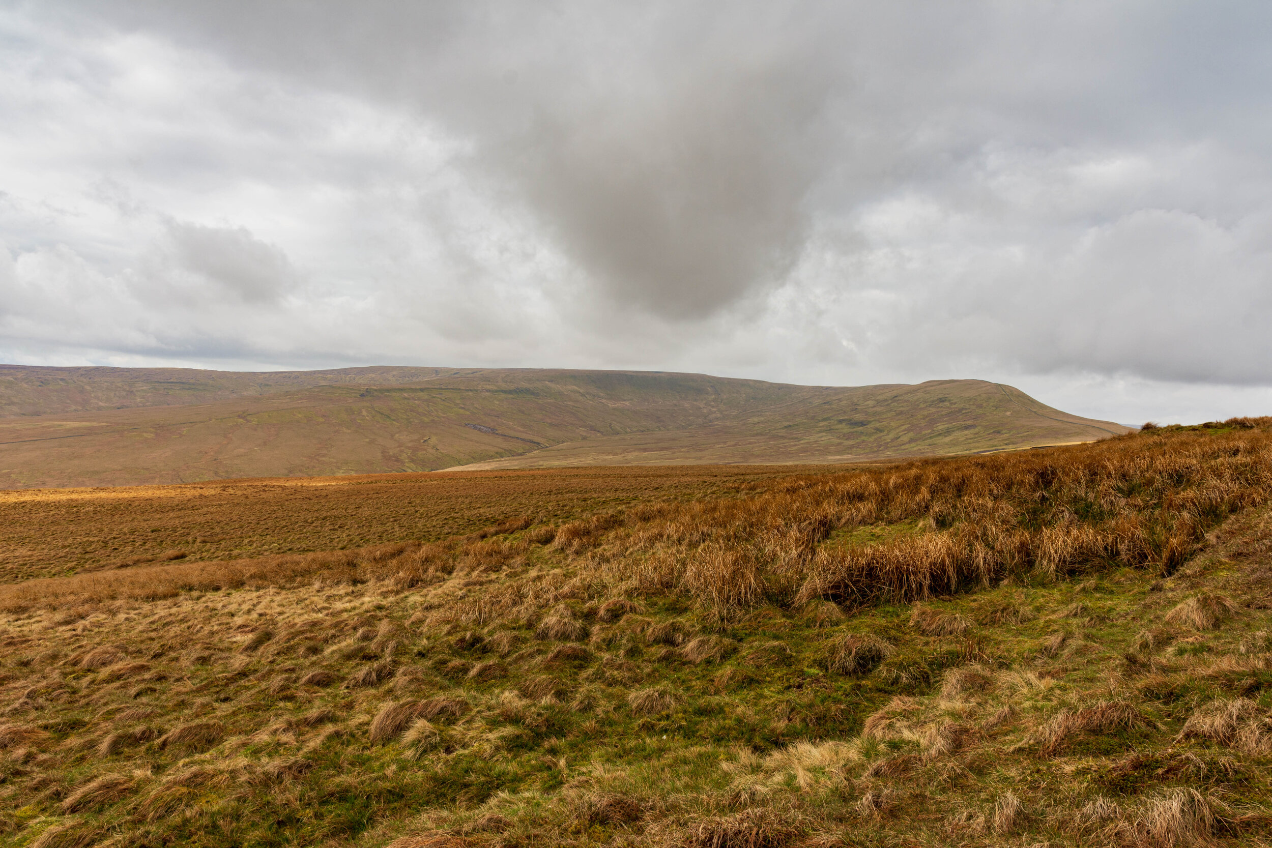 Great Whernside and Nidd Head, from the slopes of Little Whernside