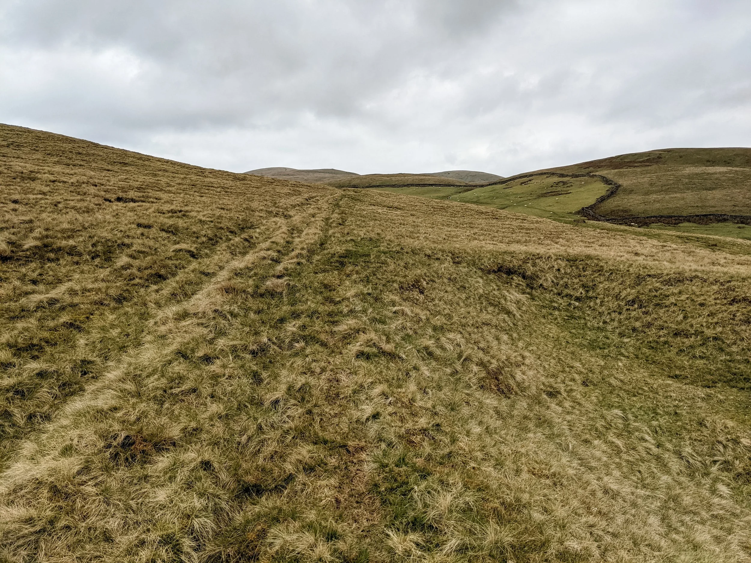 A desolate, grassy moor in the Howgills, under a cloudy sky, with Green Bell in the background