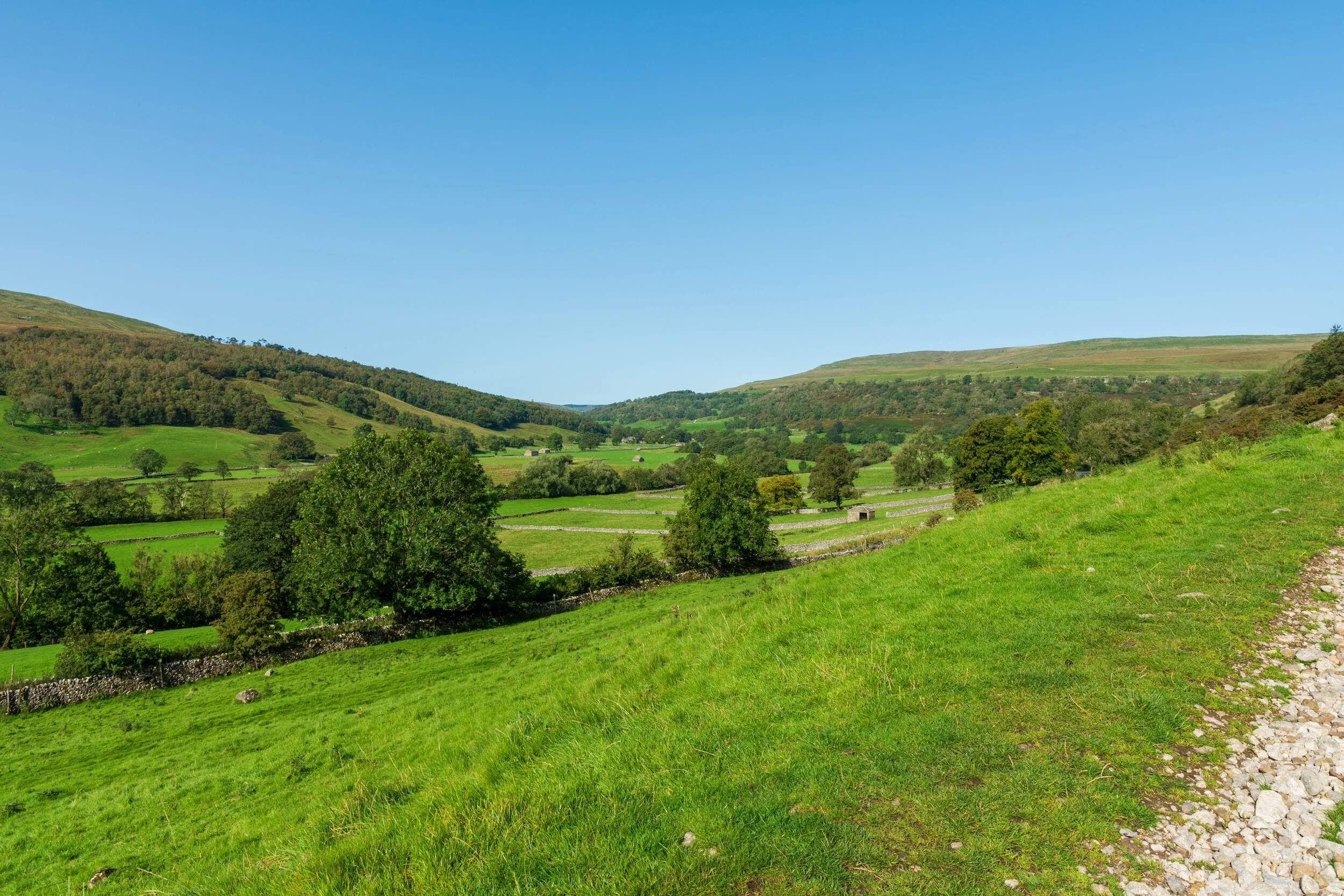 Here, the grass really is greener