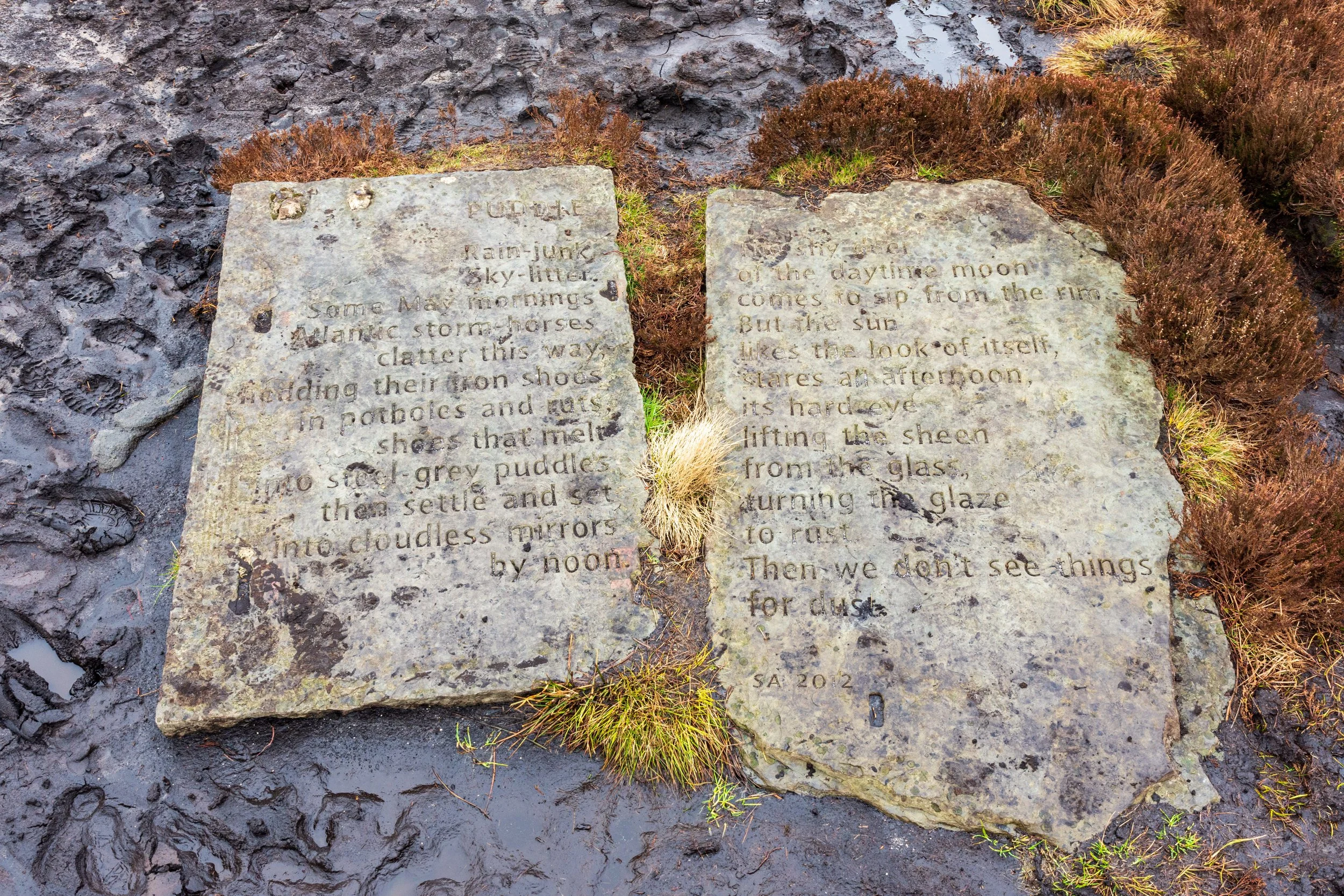 The Stanza Stones on Ilkley Moor / Rombalds Moor,  set in the heather and boggy peat