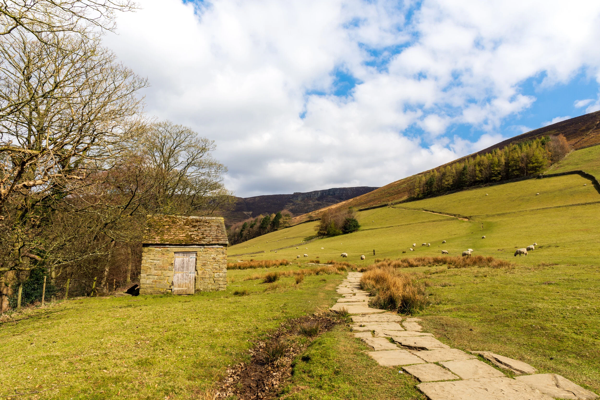 Kinder Scout in the Background (and to the right), viewed from the Vale of Edale