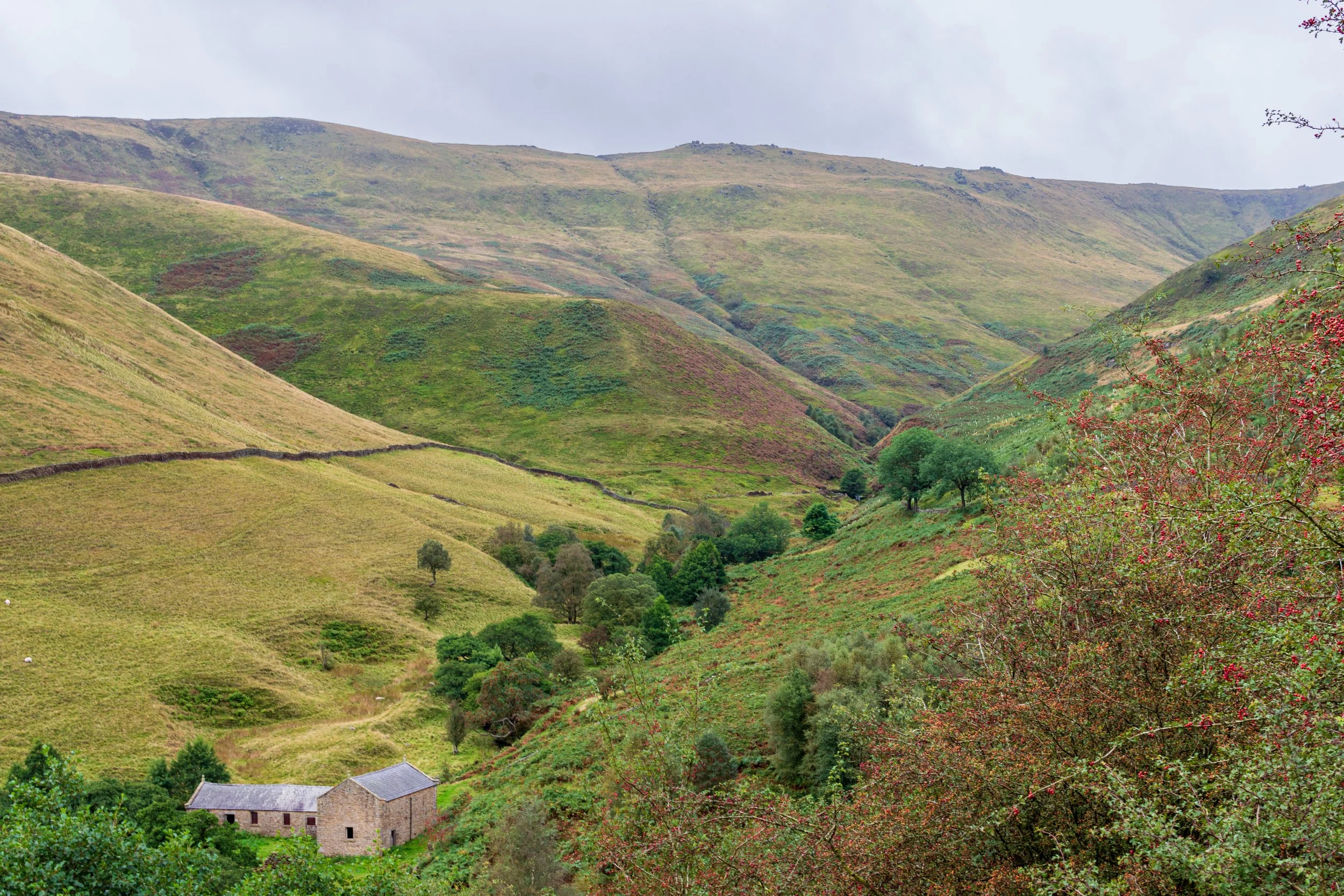 Kinder Scout