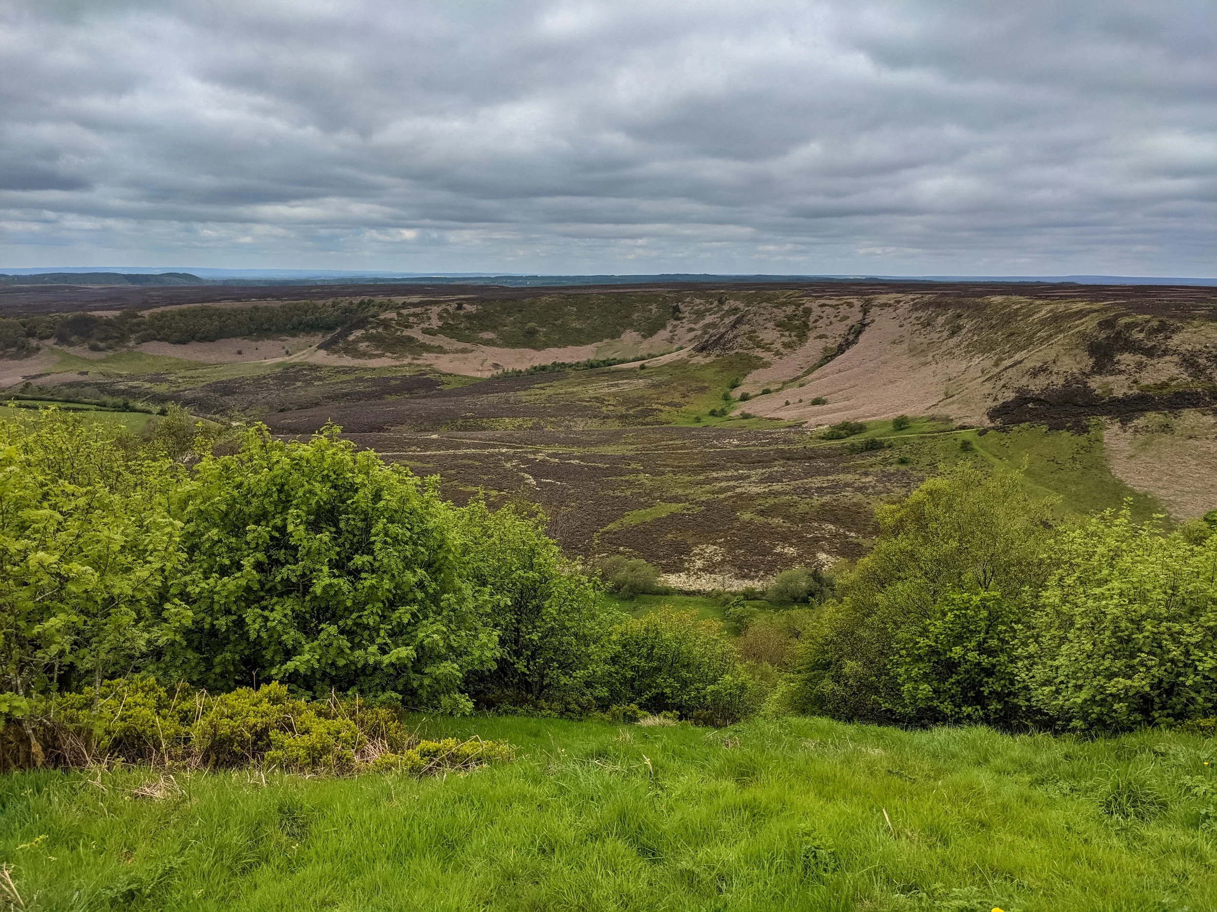 A view into the bowl-shaped Hole of Horum on Levisham Moor in the North York Moors on a cloudy day