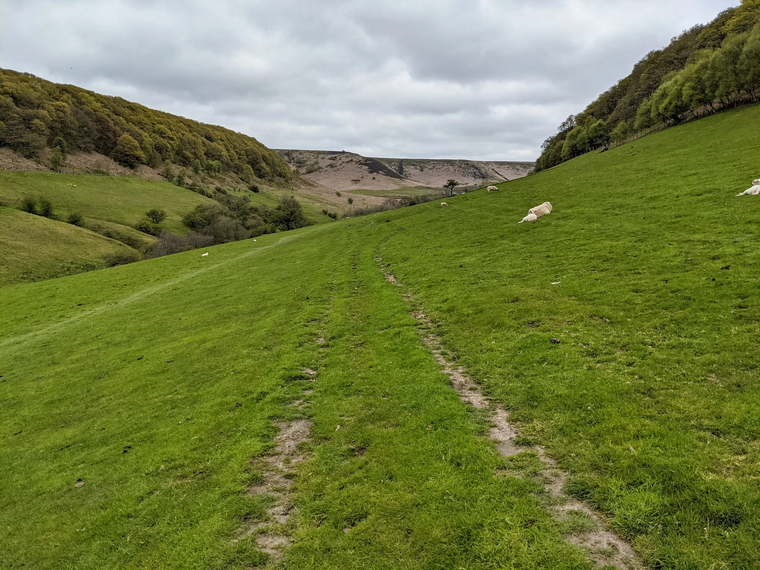Inside the Hole of Horcum on the North York Moors, with shape lying on the grass