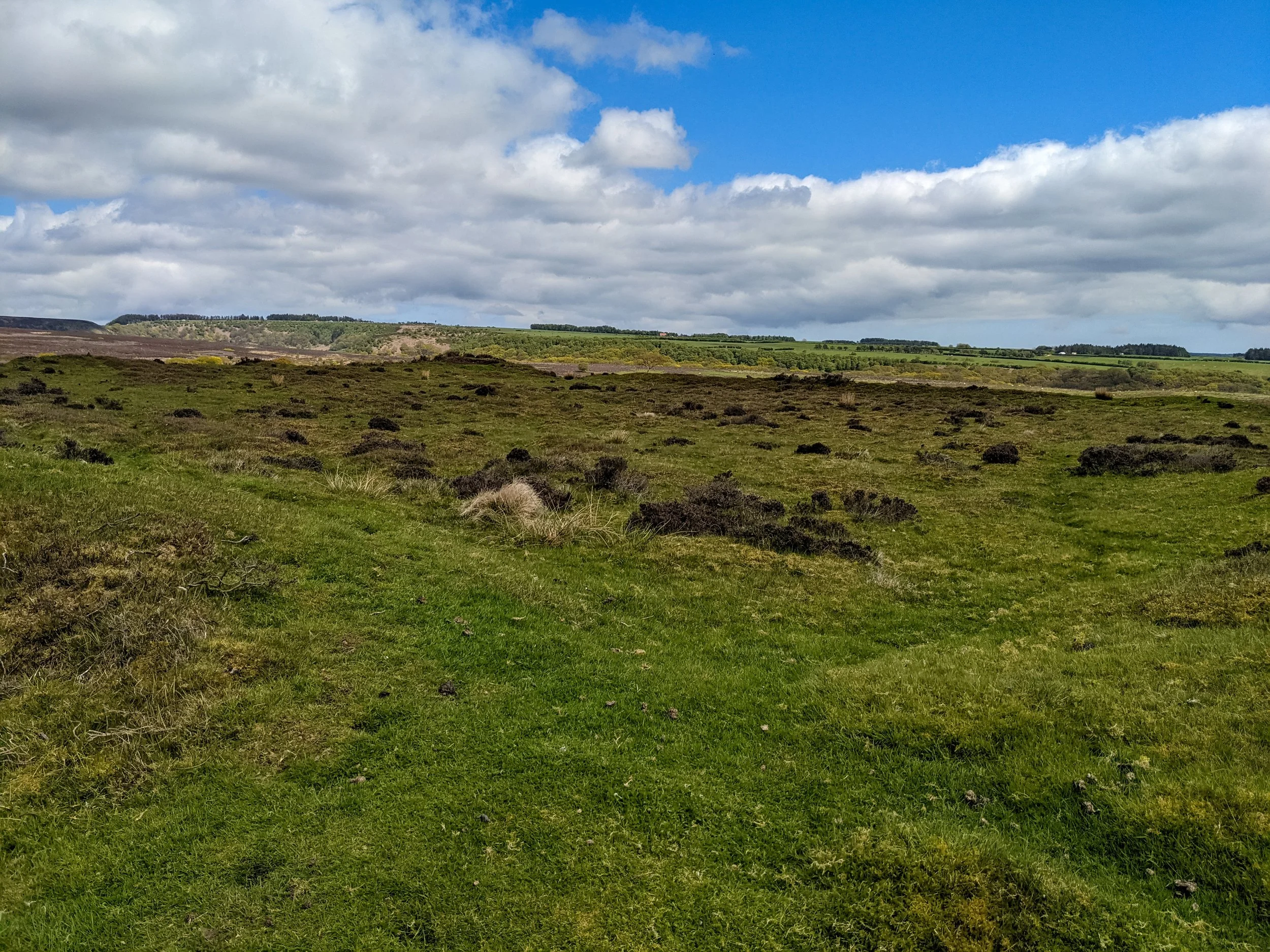 Grassy, altered earthworks indicating the remains of a settlement on Levisham Moor, above the Hole of Horcum, against broken cloud and blue skies