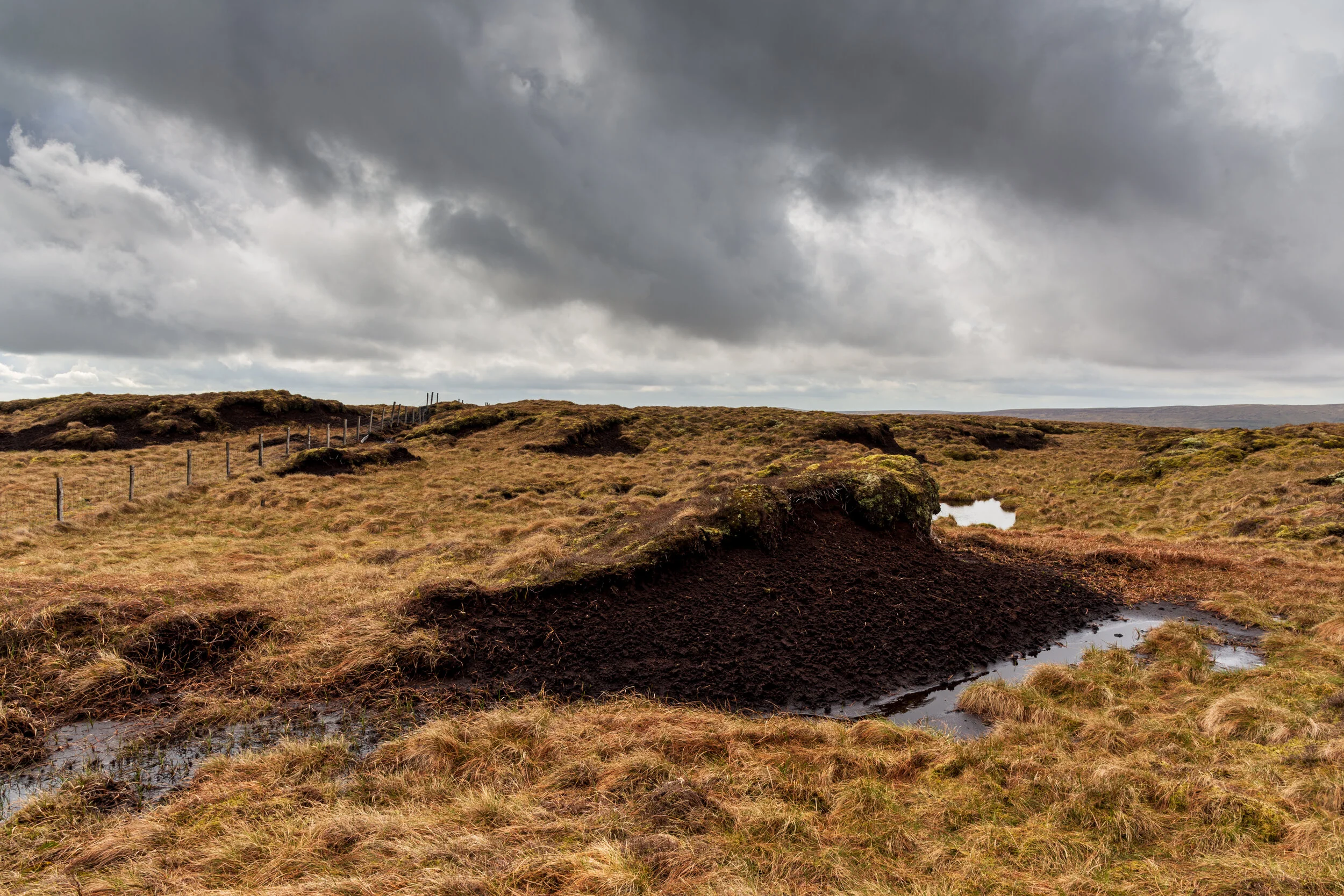 The peat hags on the summit