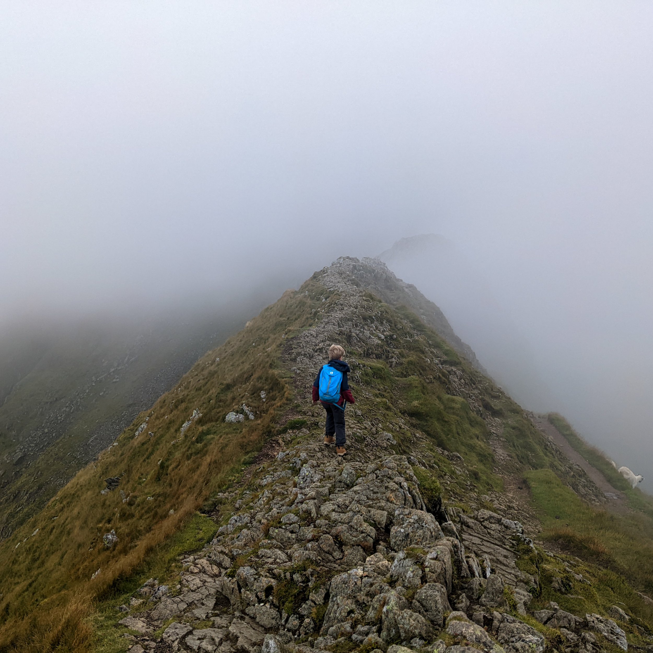 Look After What Matters