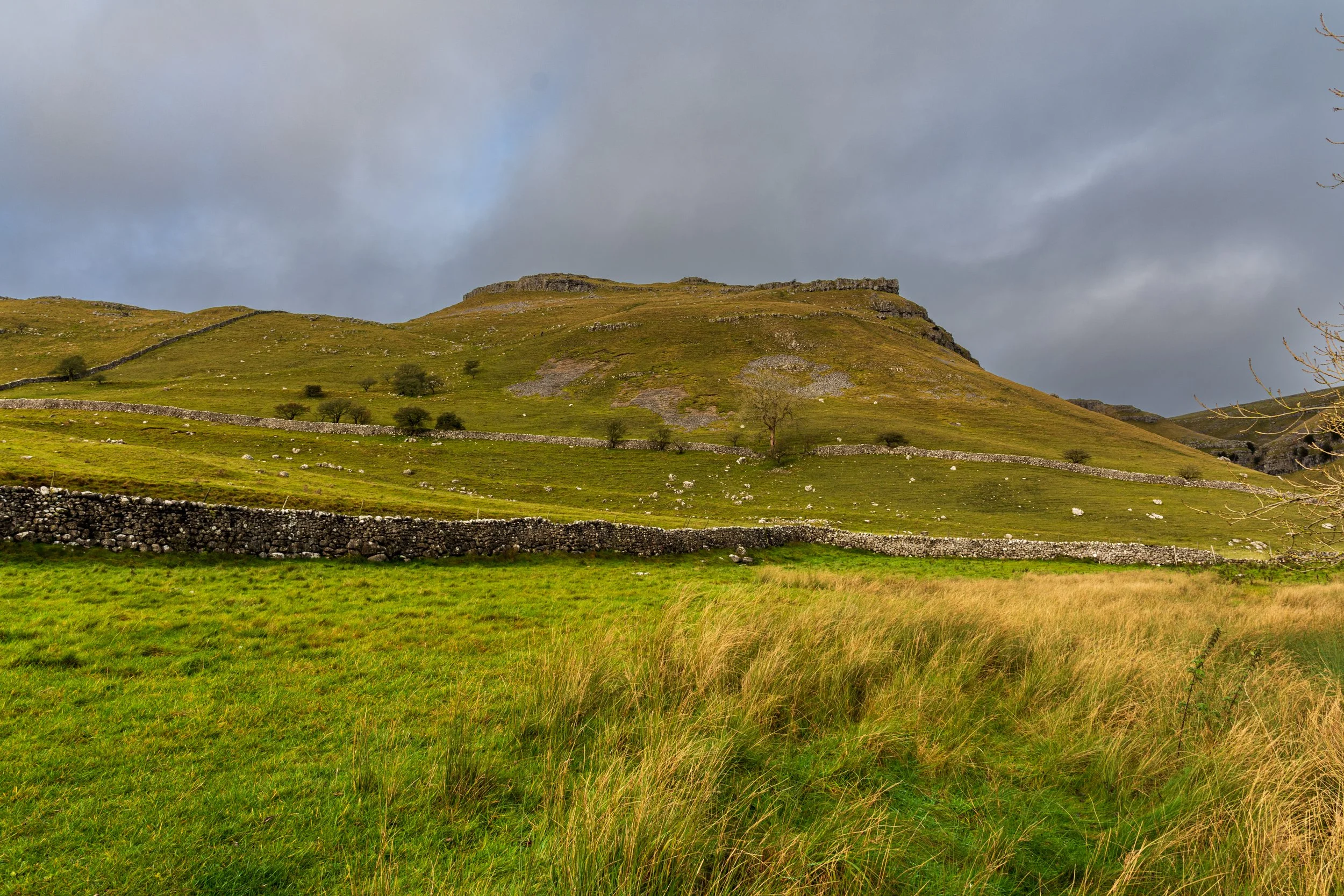 The hill of New Close Knotts, as seen from the Dales Way, with the limestone outcrops visible, and a grey sky