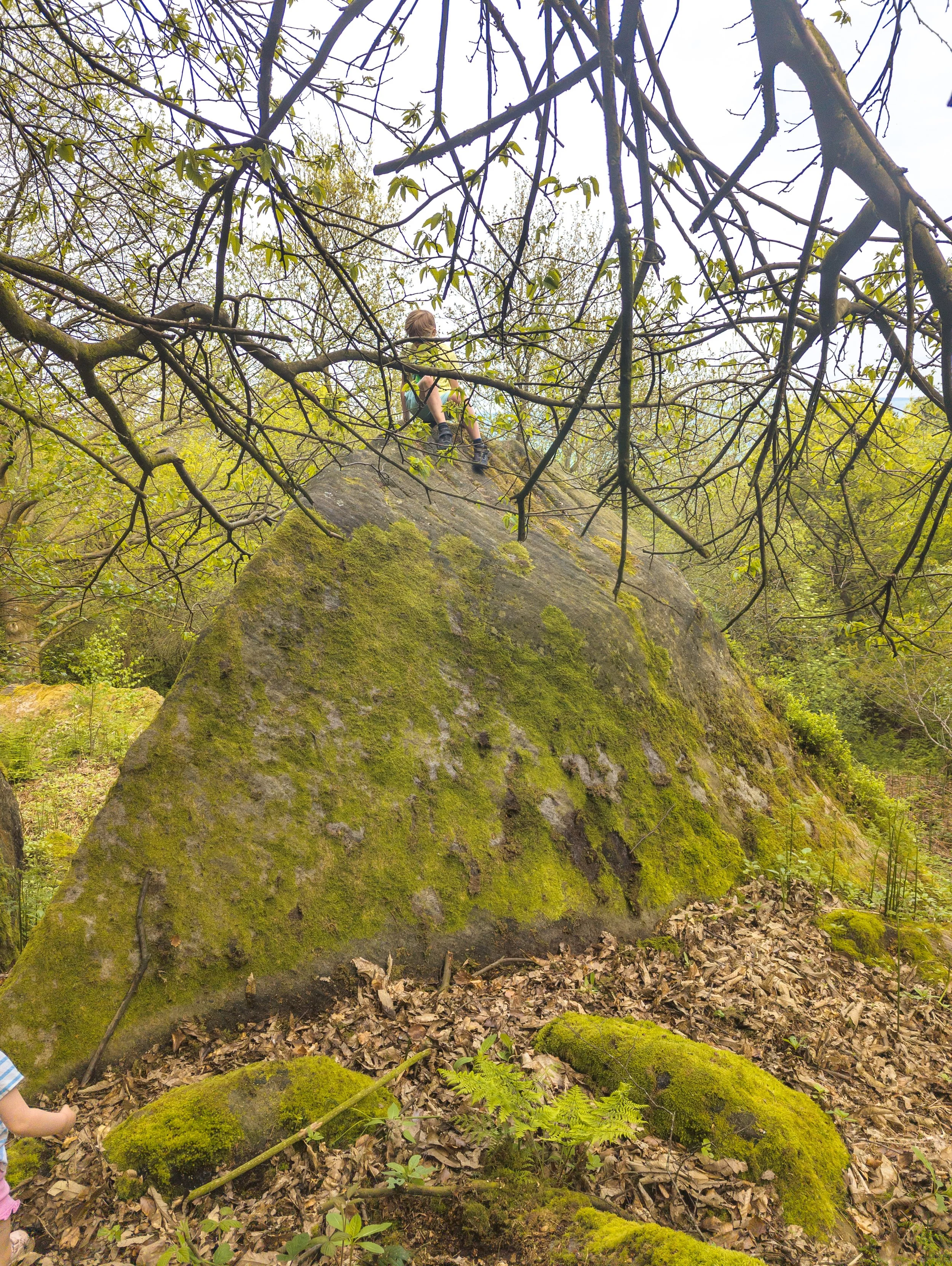 A boy sitting on top of a pyramid shaped moss-covered rock amongst the trees in an old  quarry in Otley Chevin