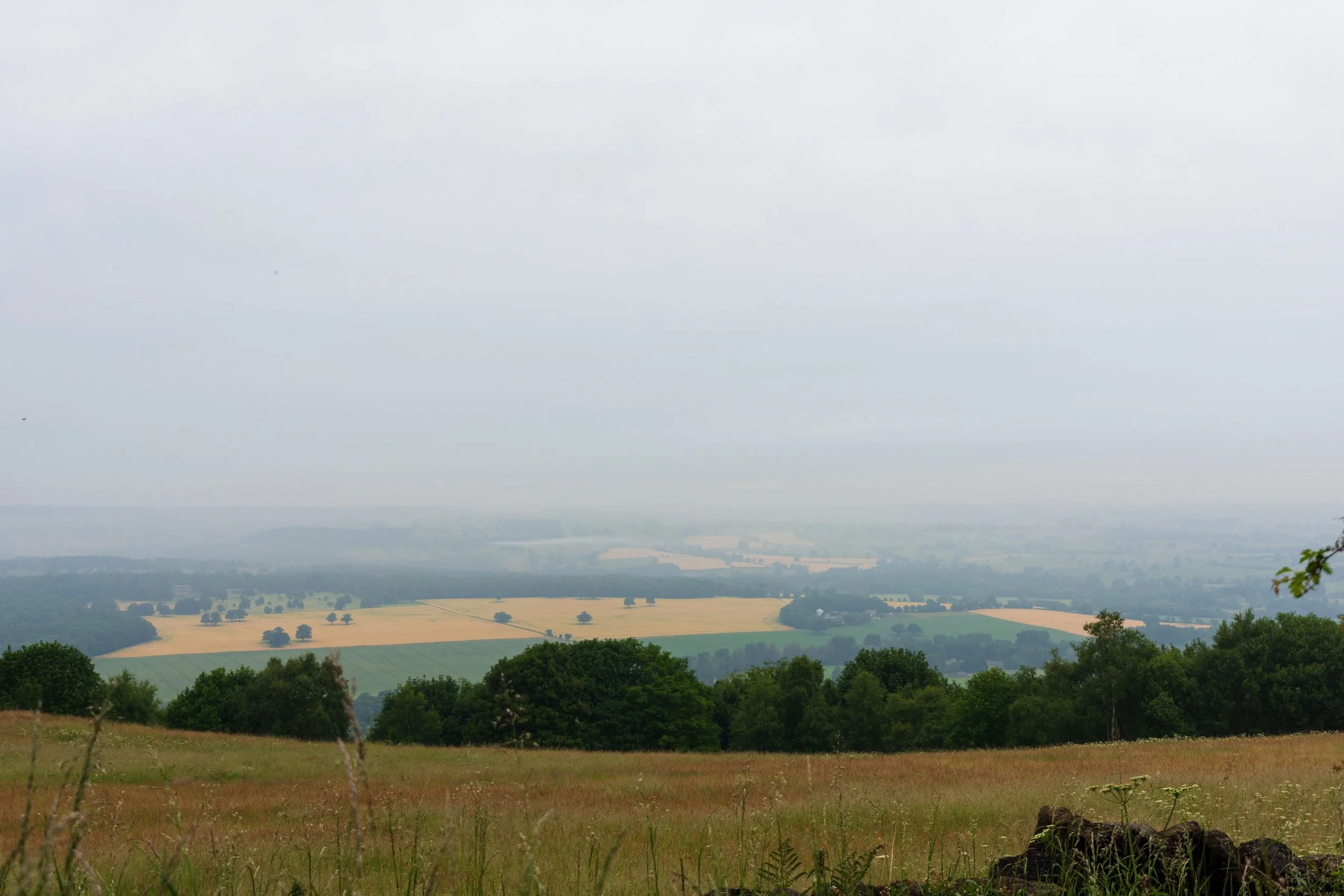 A misty view across Wharfedale near Otley, with green and yellow fields in the mid-ground, and a grassy slope in the foreground, on Otley Chevin