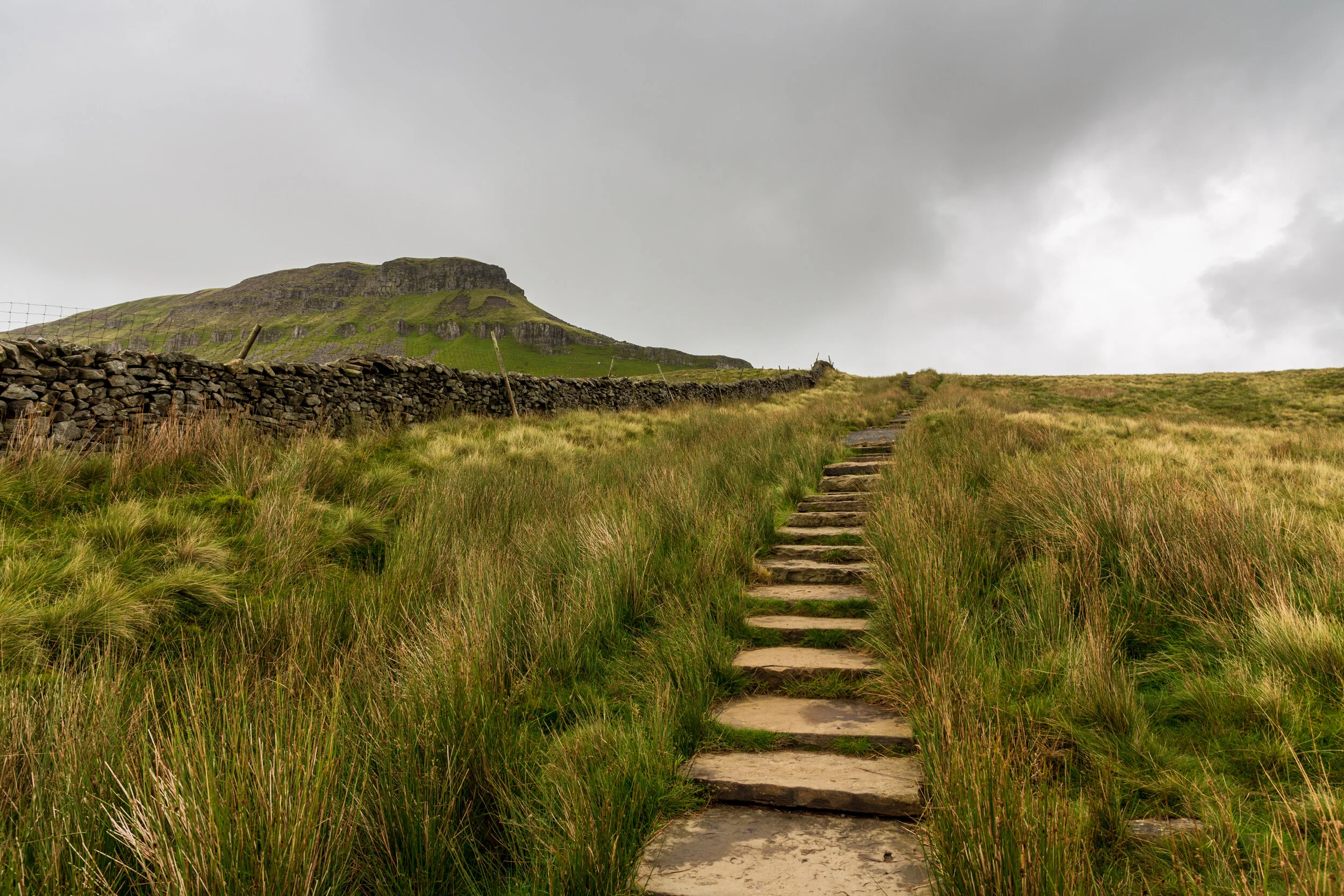 The view most Y3P walkers will be greeted with early on in the walk
