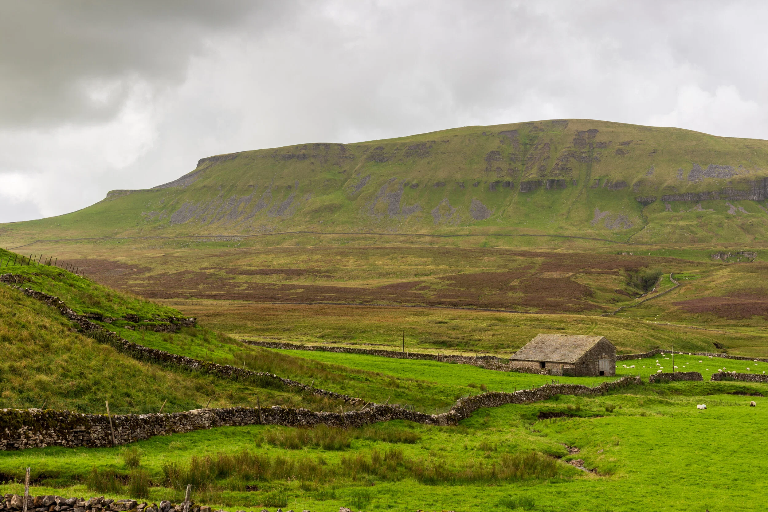 Pen-y-Ghent from the quieter eastern side