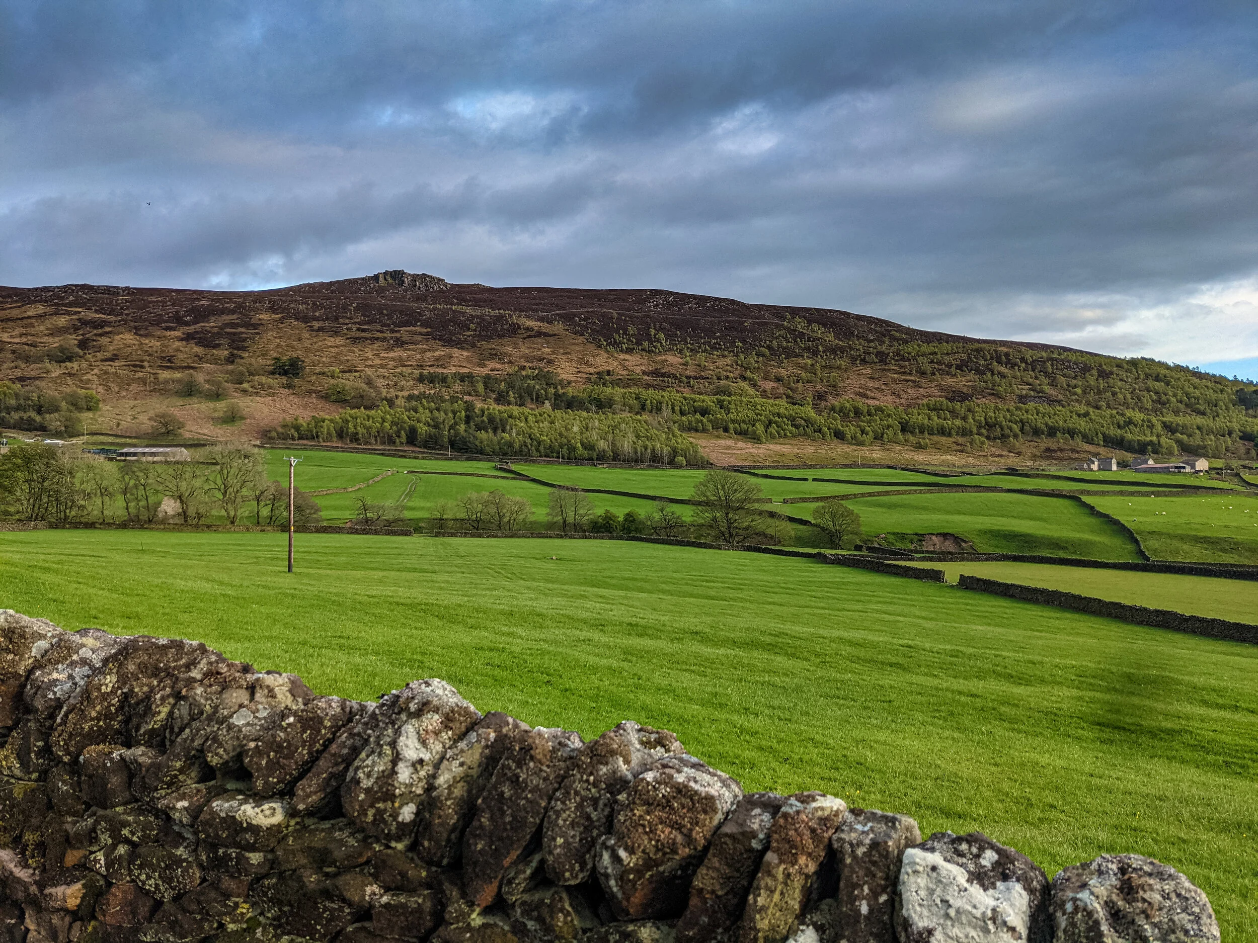 Simon’s Seat from the west
