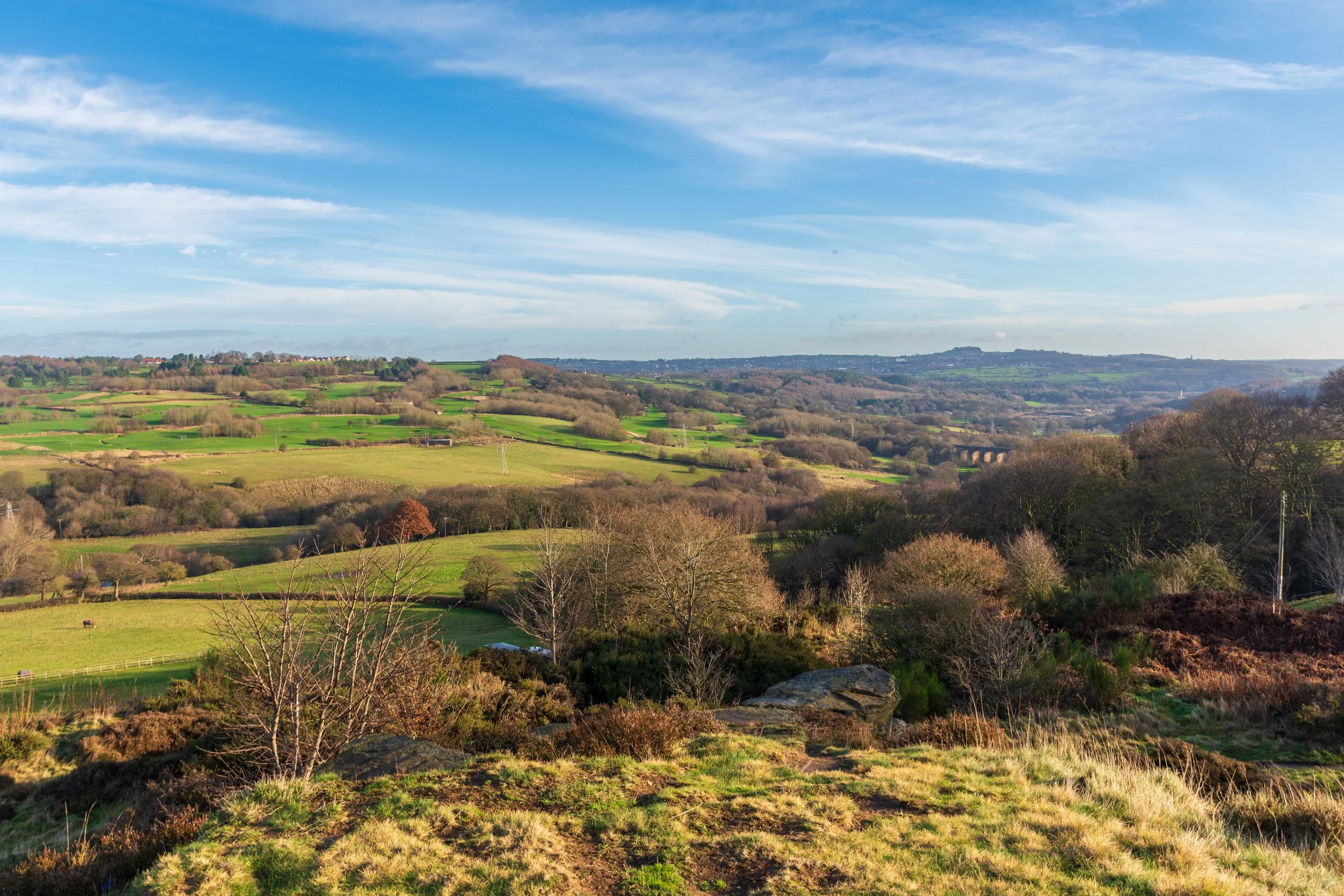 A view across the woods of West Leeds, including Esholt woods, from Baildon Hill, with The Billing in the background, against a clear blue winter sky