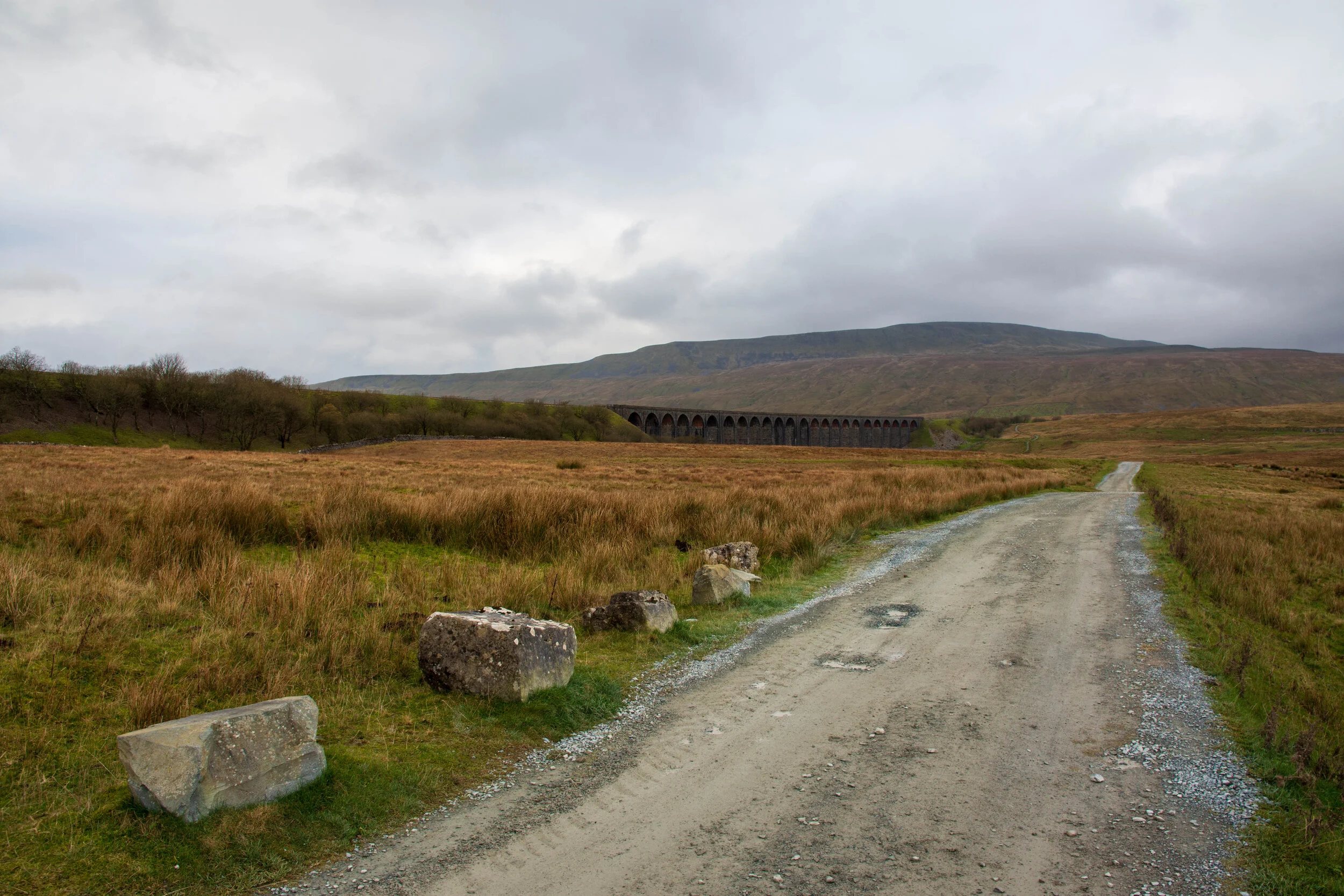 The Ribblehead viaduct with Whernside as a backdrop