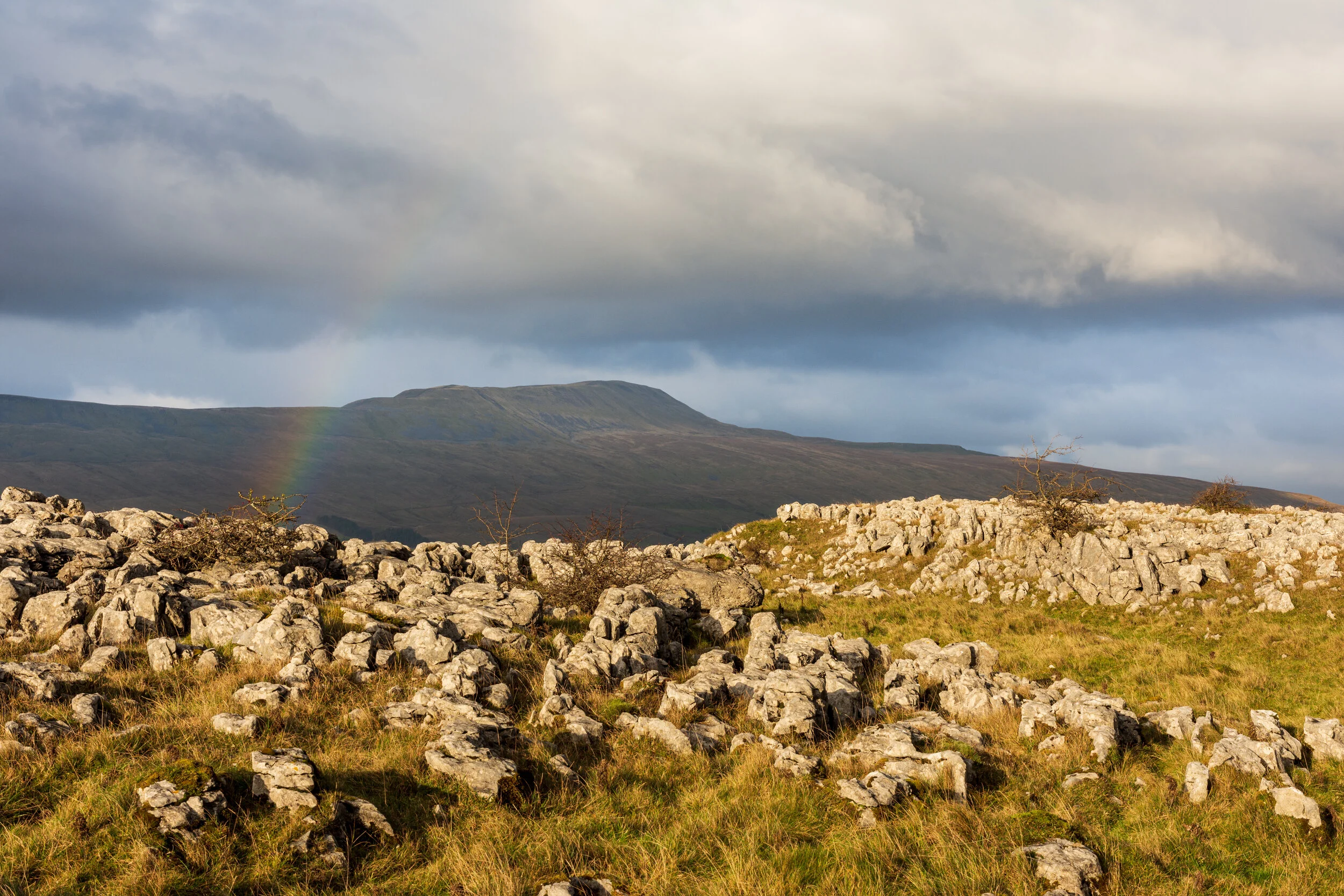 Whernside