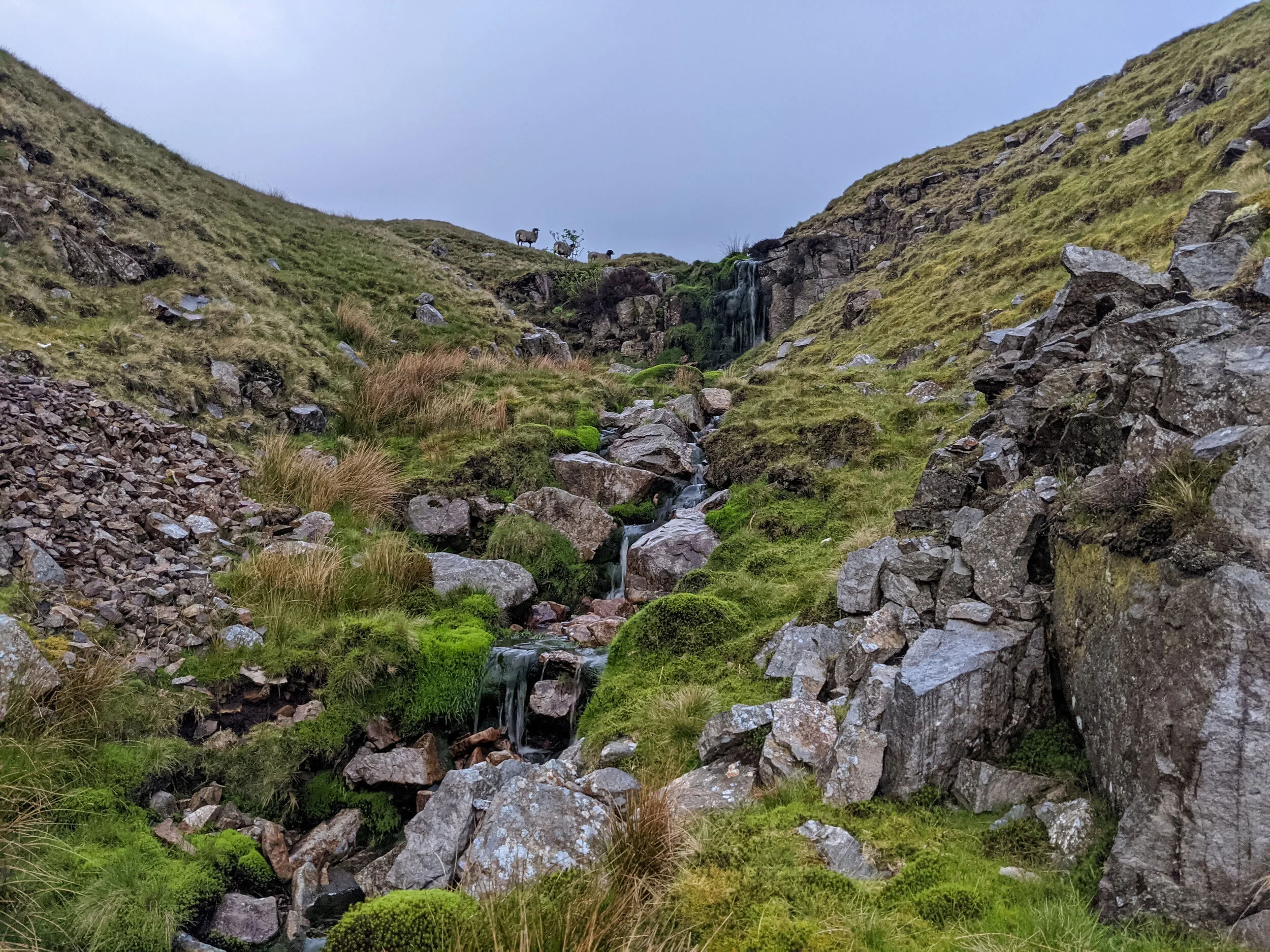 Approaching the top of Grain Gill