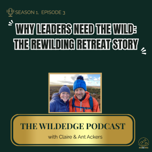 Why Leaders Need the Wild: The Rewilding Retreat Story